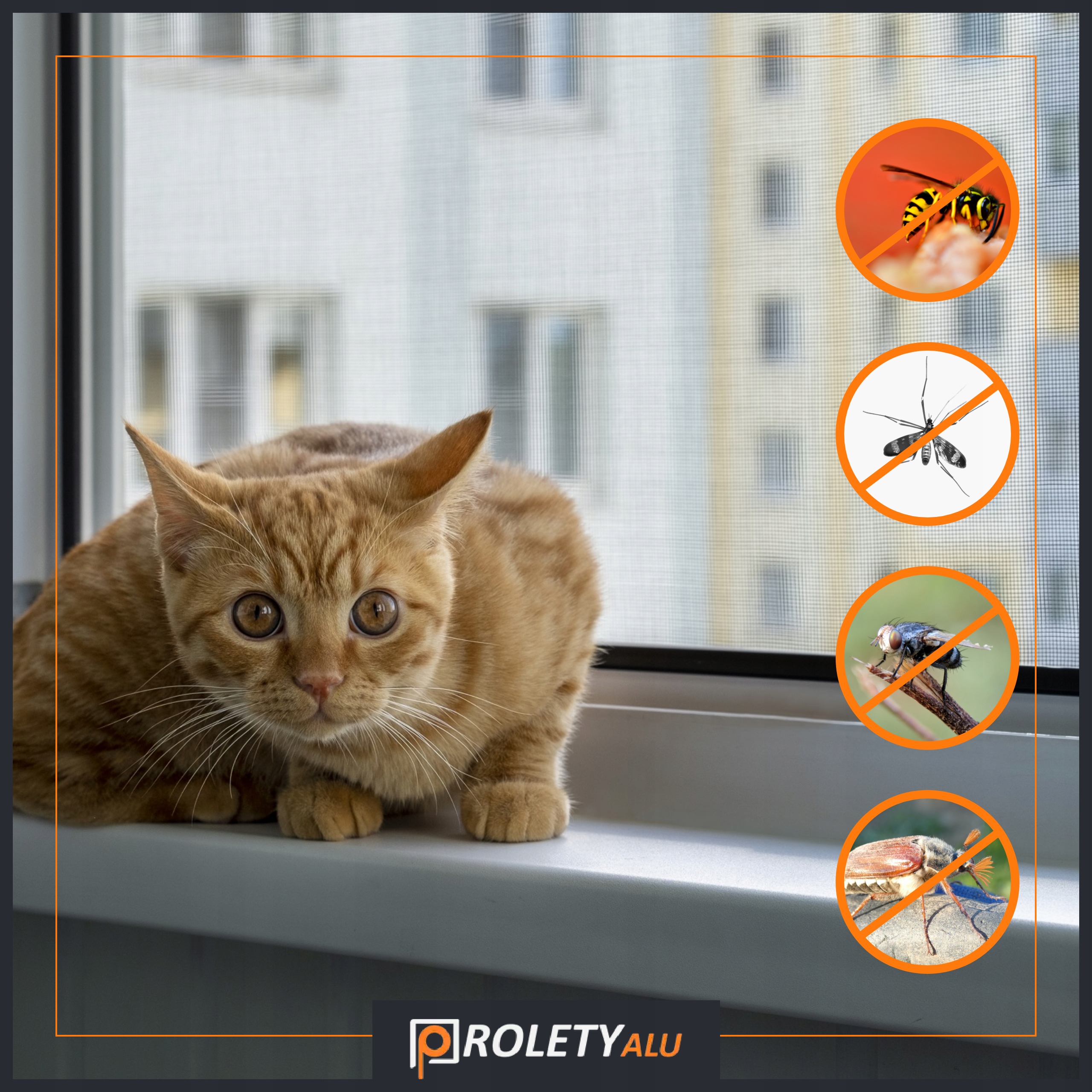 Moskitiera ramkowa Maks. szerokość 45 cm