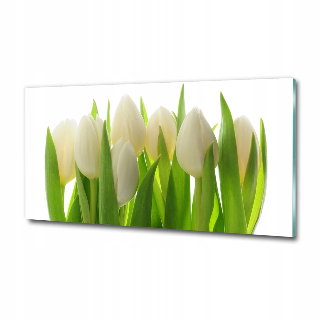 fotoobraz veľké sklo na stenu Tulipány 100x50