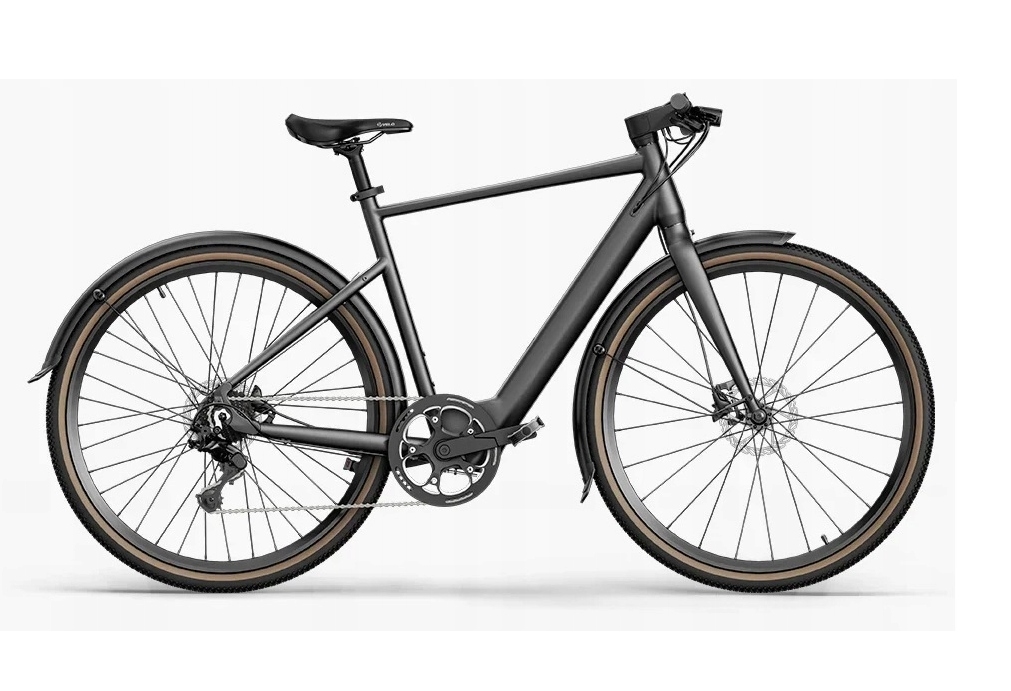 Rower Elektryczny Fiido C21 Gray L