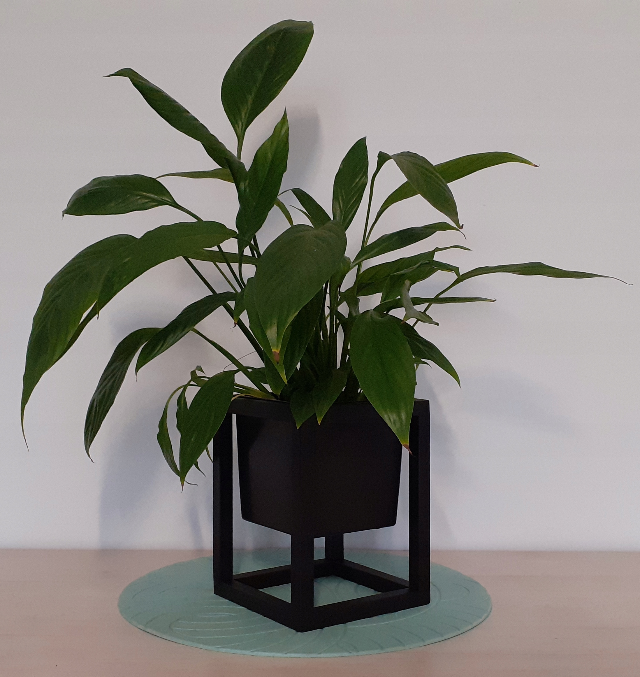 

Kwietnik mały loft wysokość 20cm na stół parapet