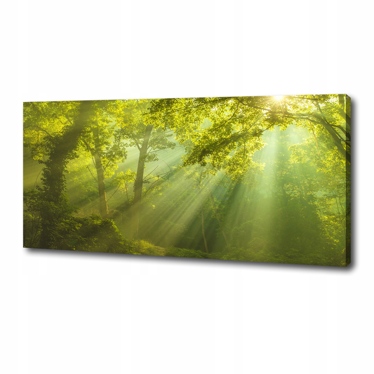 

Foto obraz duży na płótnie Las w słońcu 125x50 cm