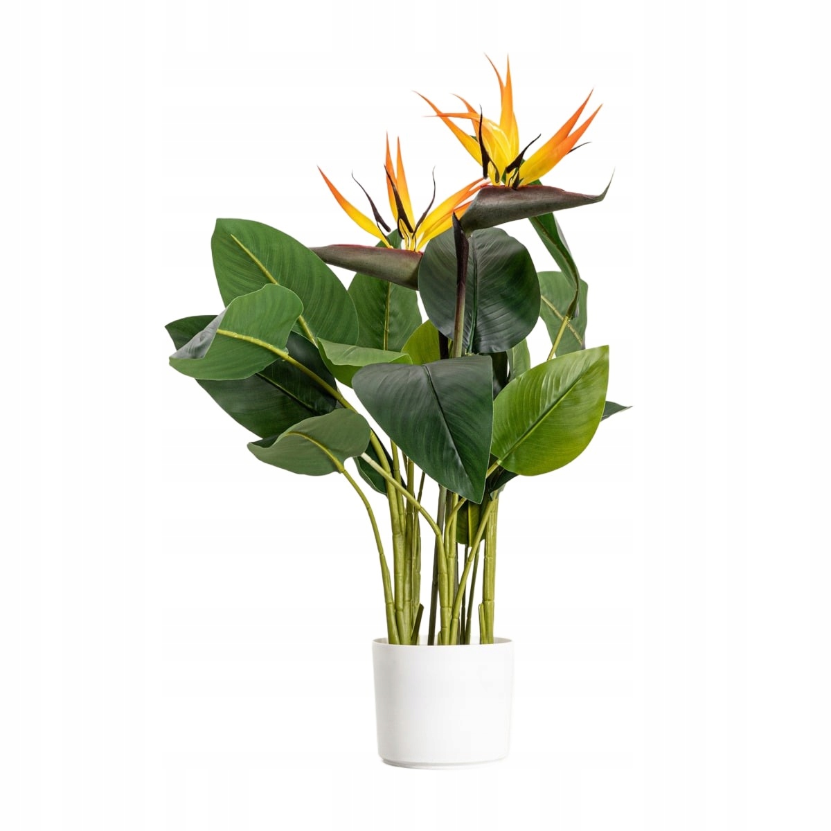 Umělá rostlina Botanic strelicja 75 cm Homla
