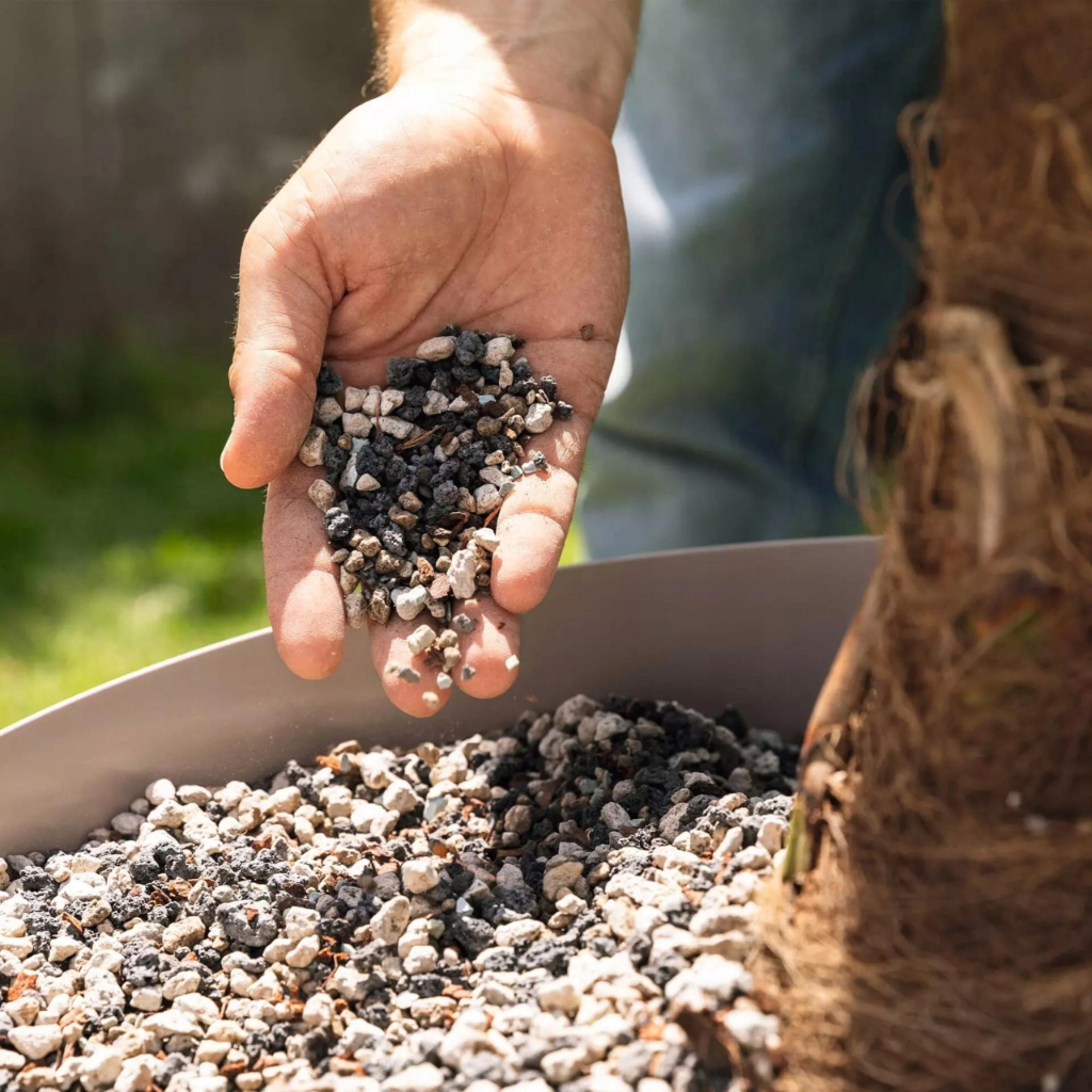 Substrat LECHUZA PALMPON 12l Podłoże z nawozem do palm EAN (GTIN) 4008789195432