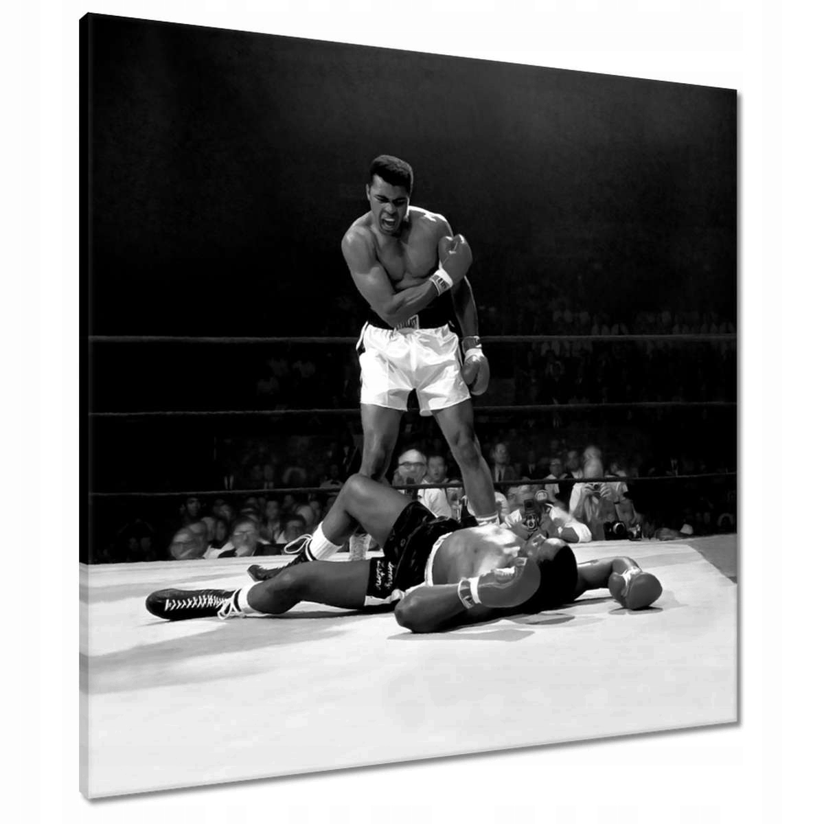 Obrazy 70x70 Muhammad Ali Boj Box