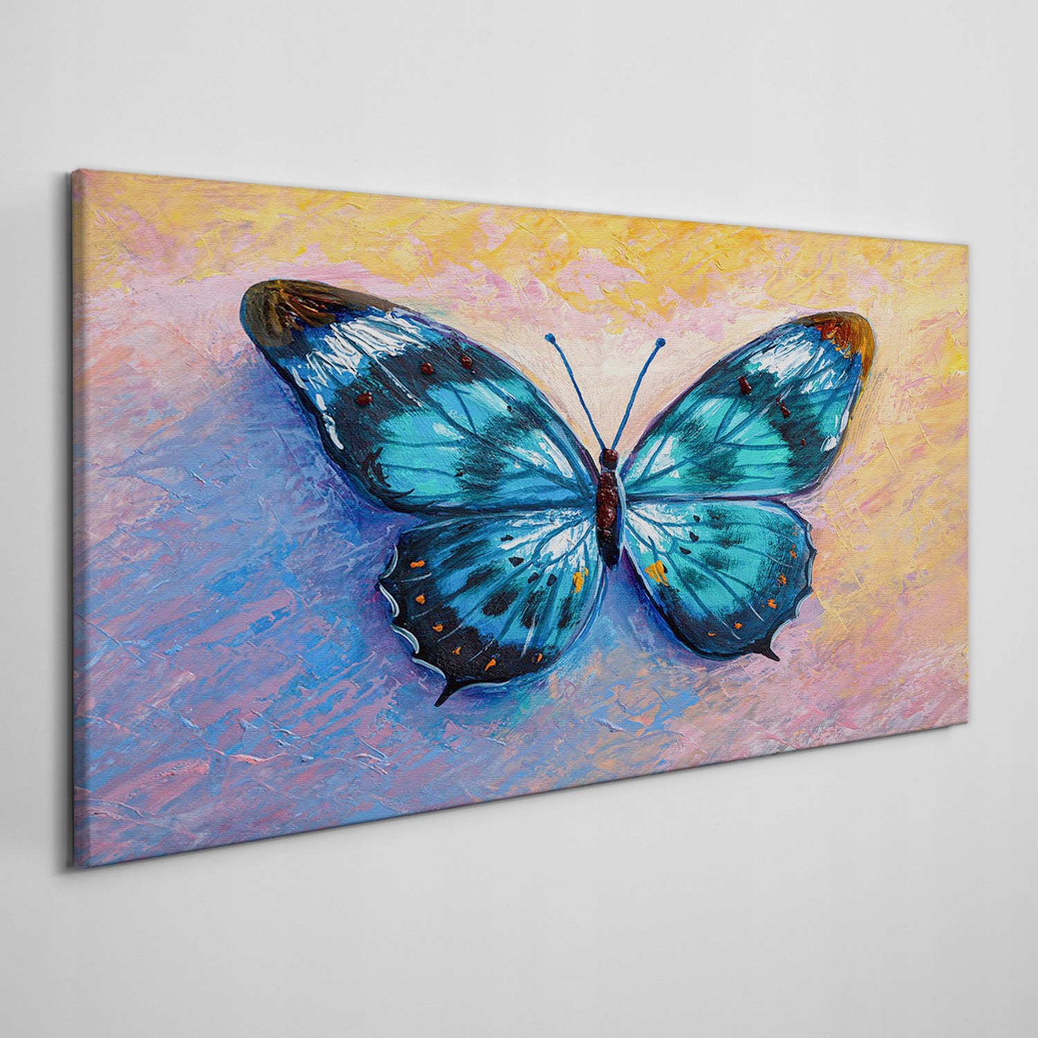 

Foto-obraz na płótnie Motyl owad kolorowy 120x60