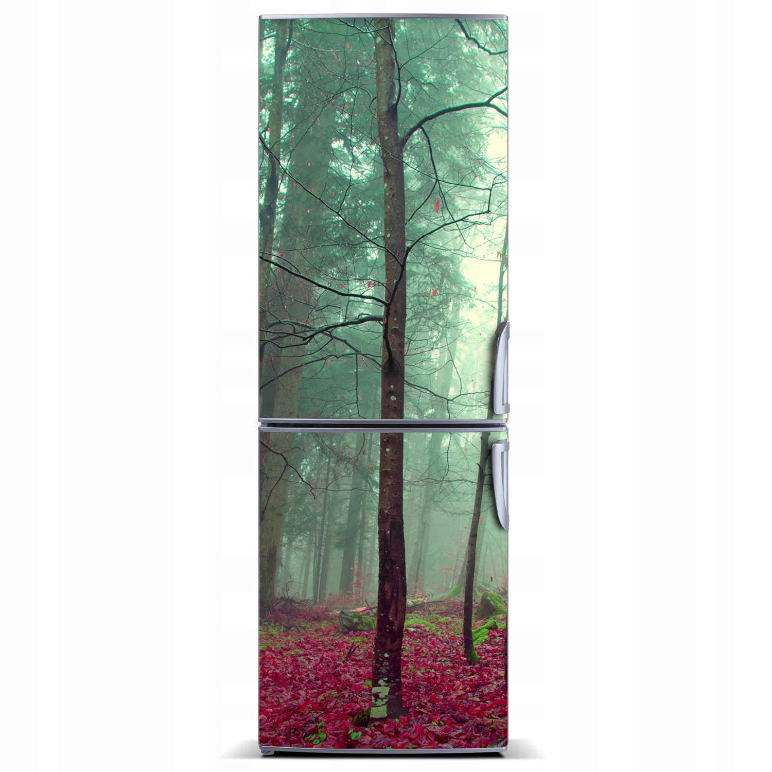 

Magnes fototapeta na lodówkę Las jesienią 60x180