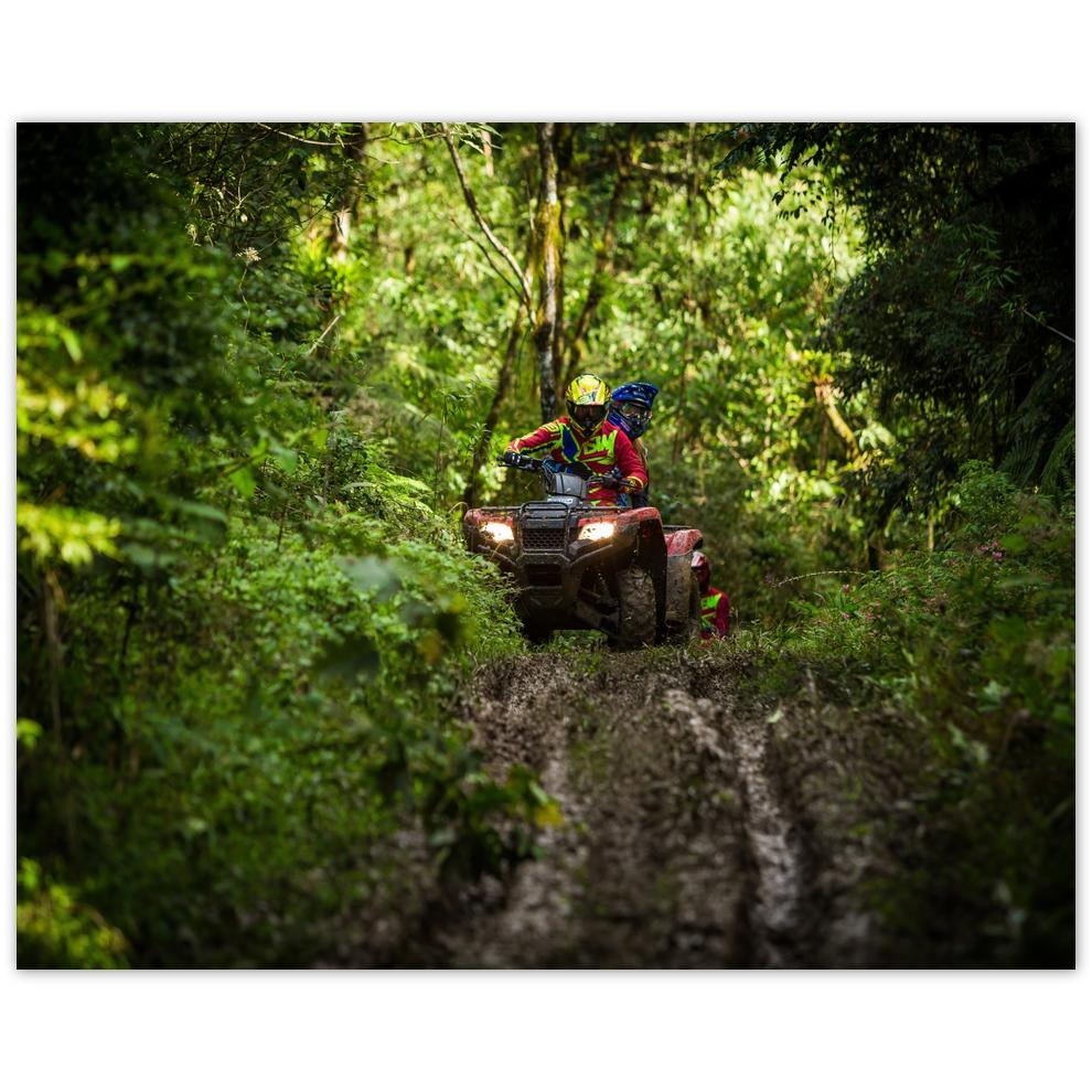 

Plakat 50x40 Quad Cztery kółka Teren