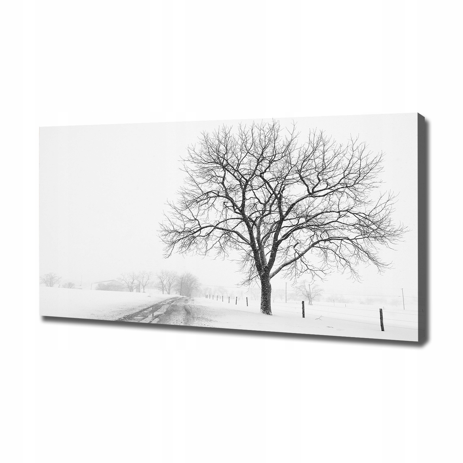 

Foto obraz canvas na ścianę Drzewo zimą 120x60 cm