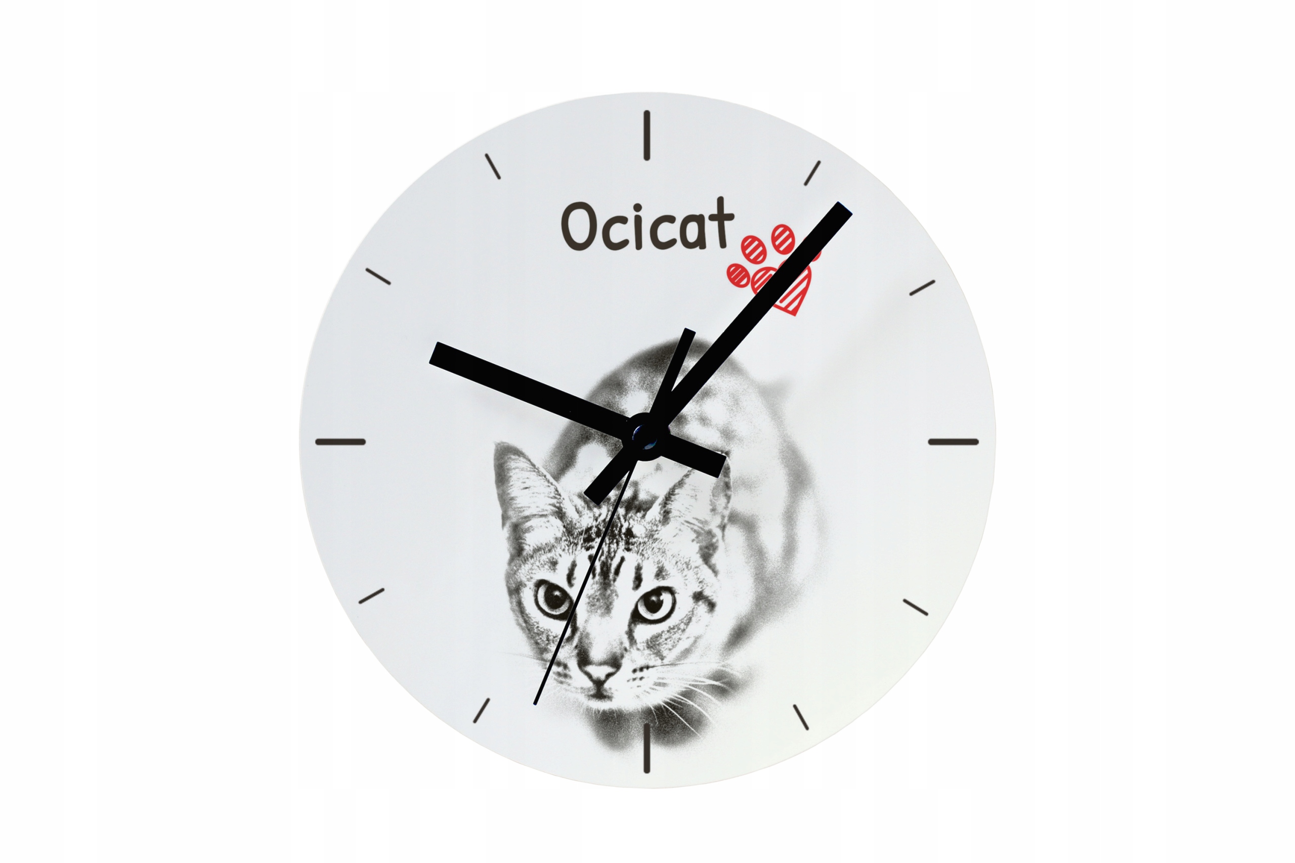Kočka Ocicat hodiny s kočkou závěsné a stojící, personalizace fotografií