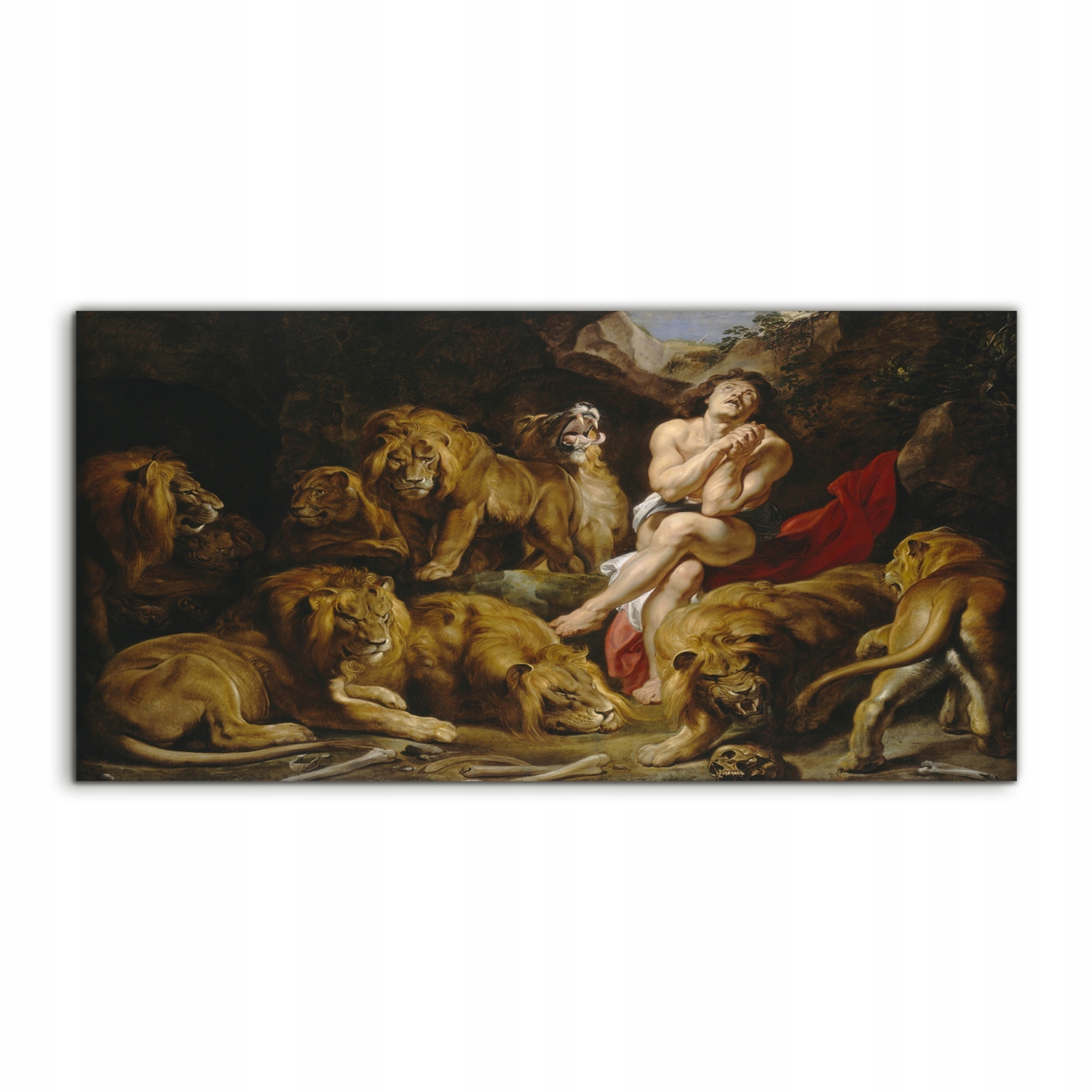 Akrylový obraz 120x60 závesný Levy Mačky Zvieratá