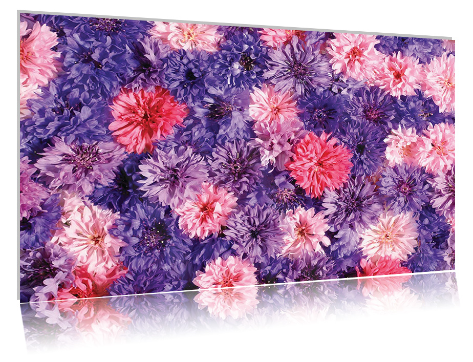 

Obraz szklany na szkle Kwiaty 13 30x20