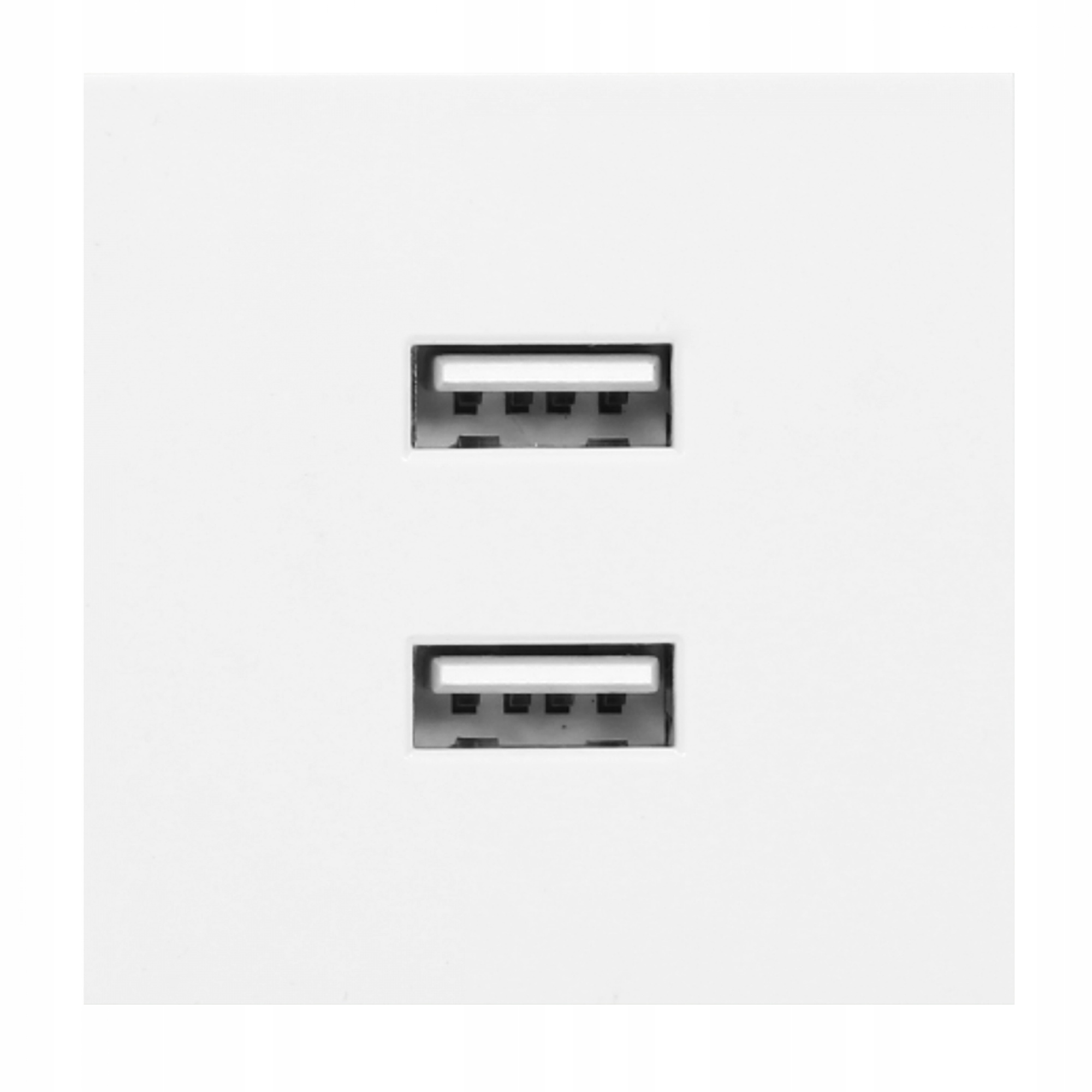 

Gniazdo Modułowe Usb Podwójne Ładowarka Noen Orno