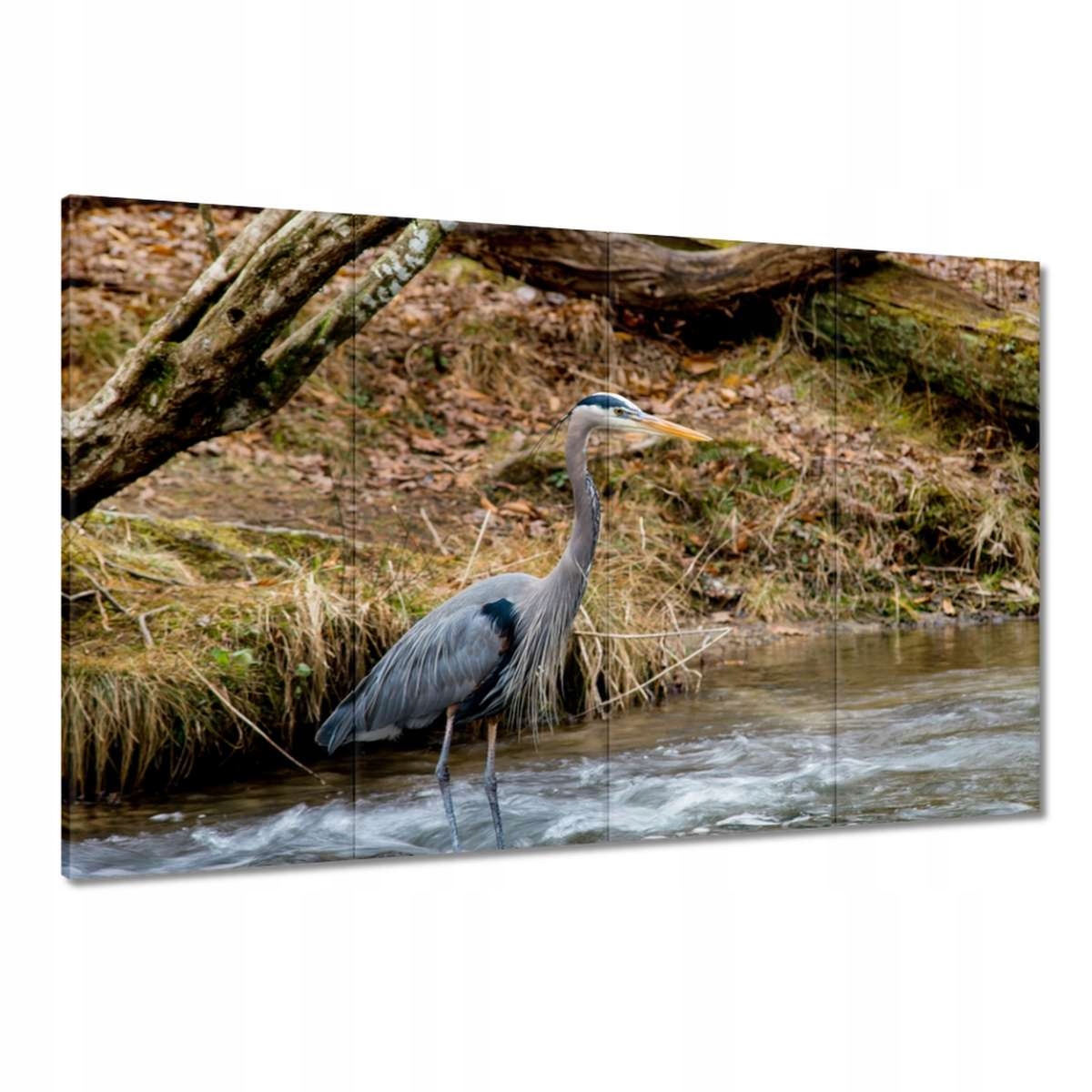 Obrazy 120x80 Čapla pták Krajina Pohled