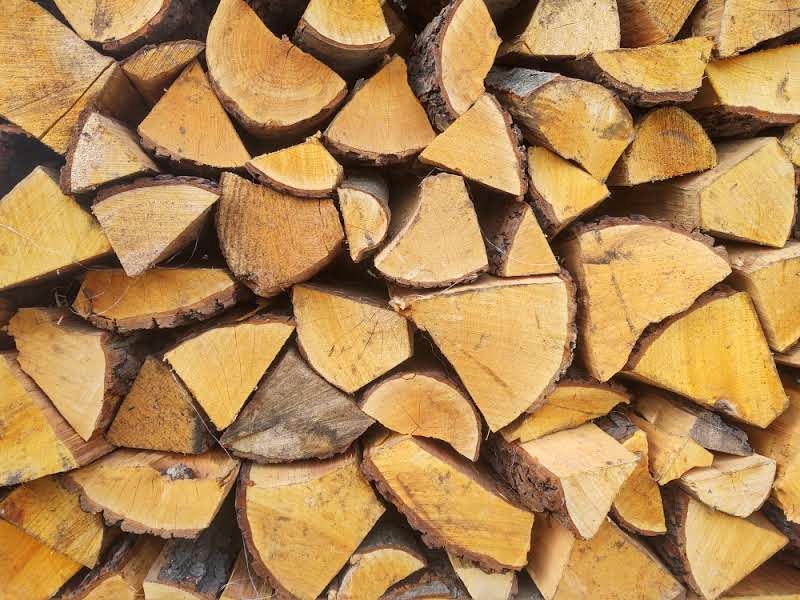 Drewno 10 kg do wędzenia i grillowania Ognisko Olcha 25 cm! Szybka Dostawa