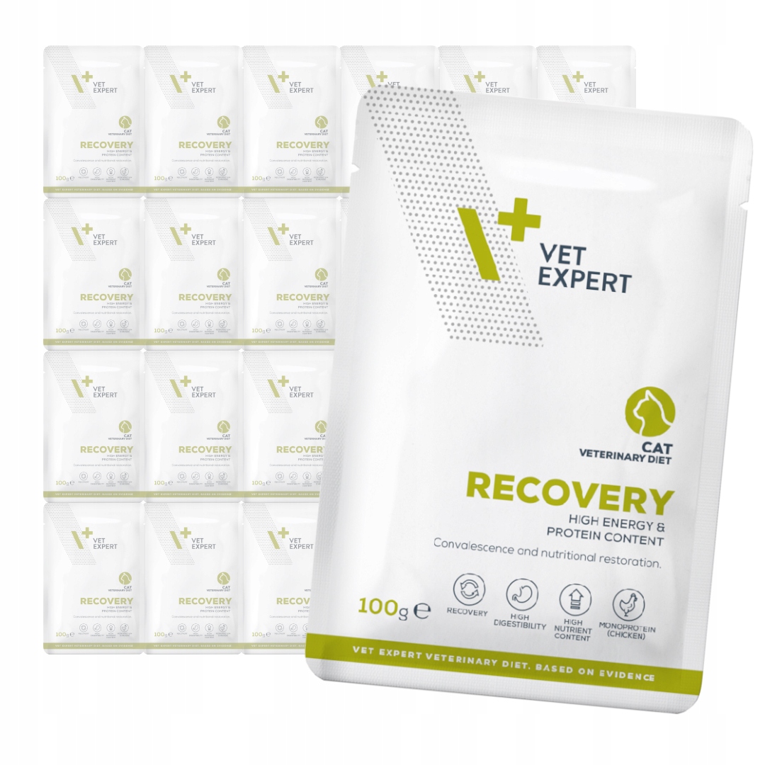 Levně VetExpert Veterinary Diet Recovery 24x100g Krmivo Pro Kočky Rekonvalescence