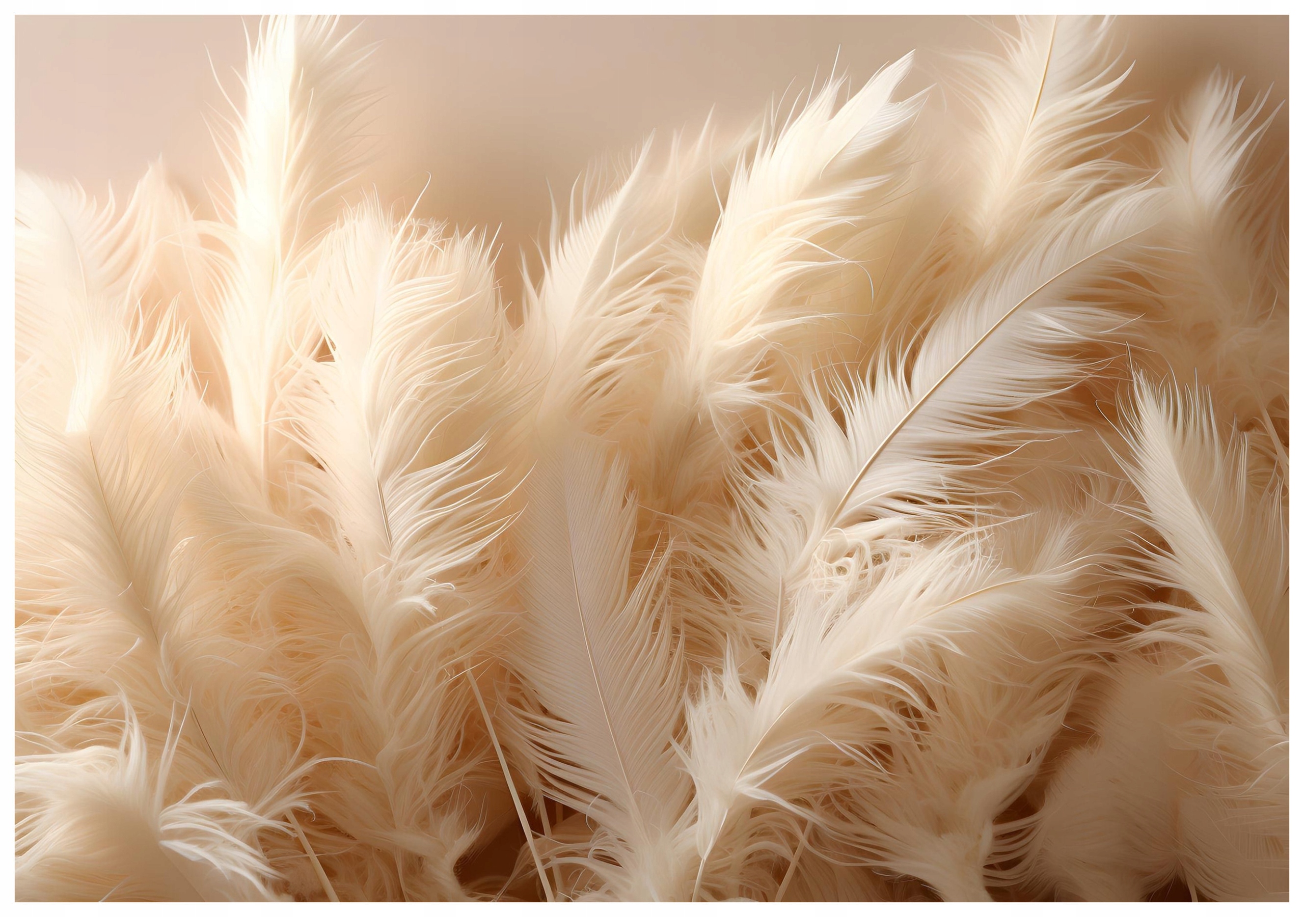 Fototapeta flizelina Bezové peří jemné relaxační pozadí 250x175 lepidlo