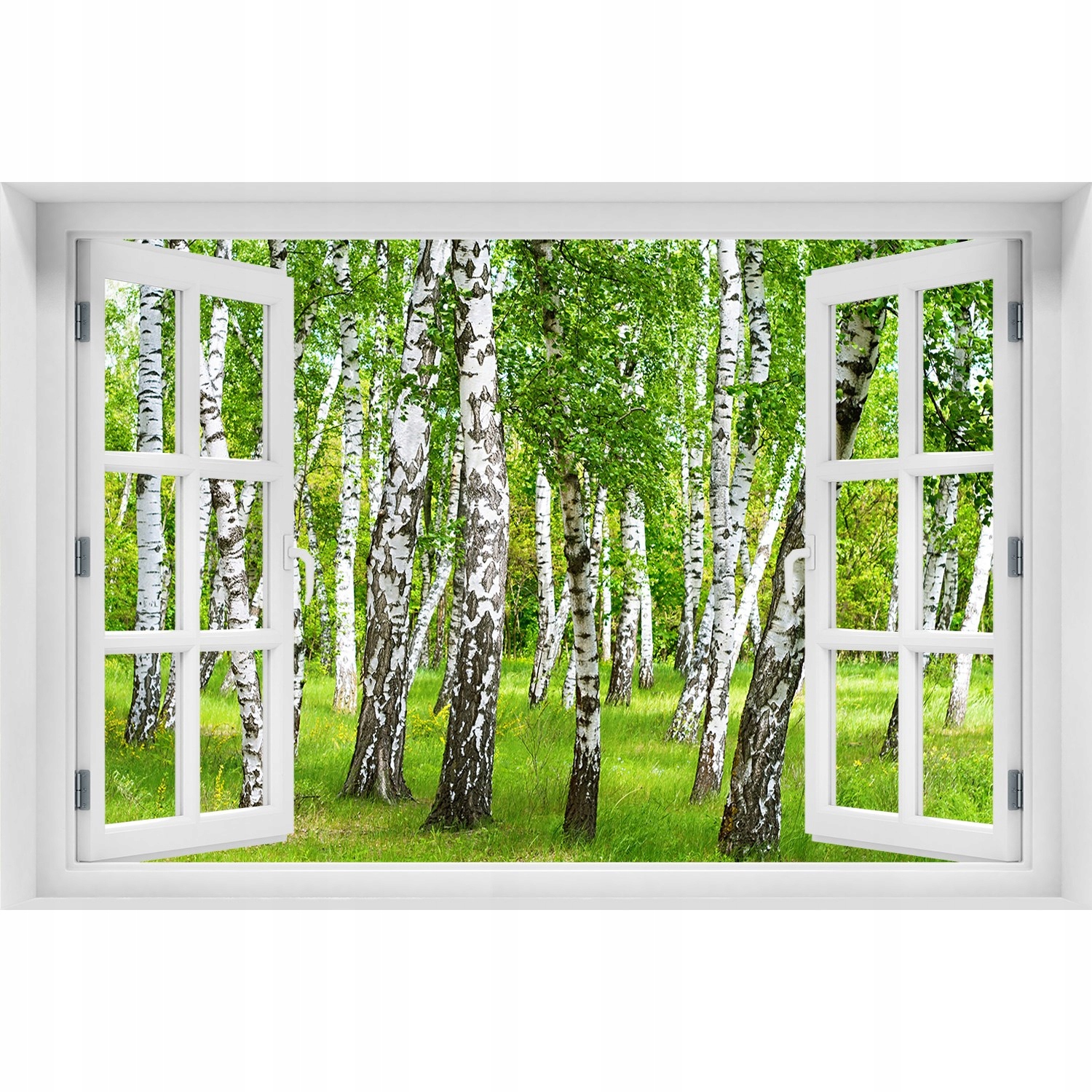 

Naklejka fototapeta Okno Brzozowy las 150x100