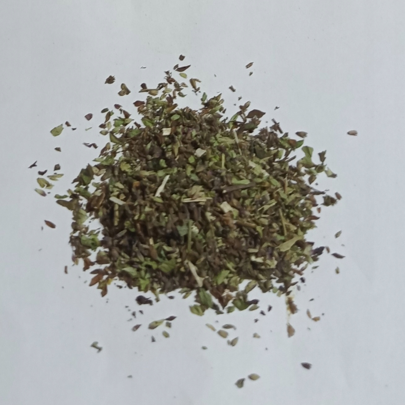 Oregano Dzikie Albania 1 Kg Rafex