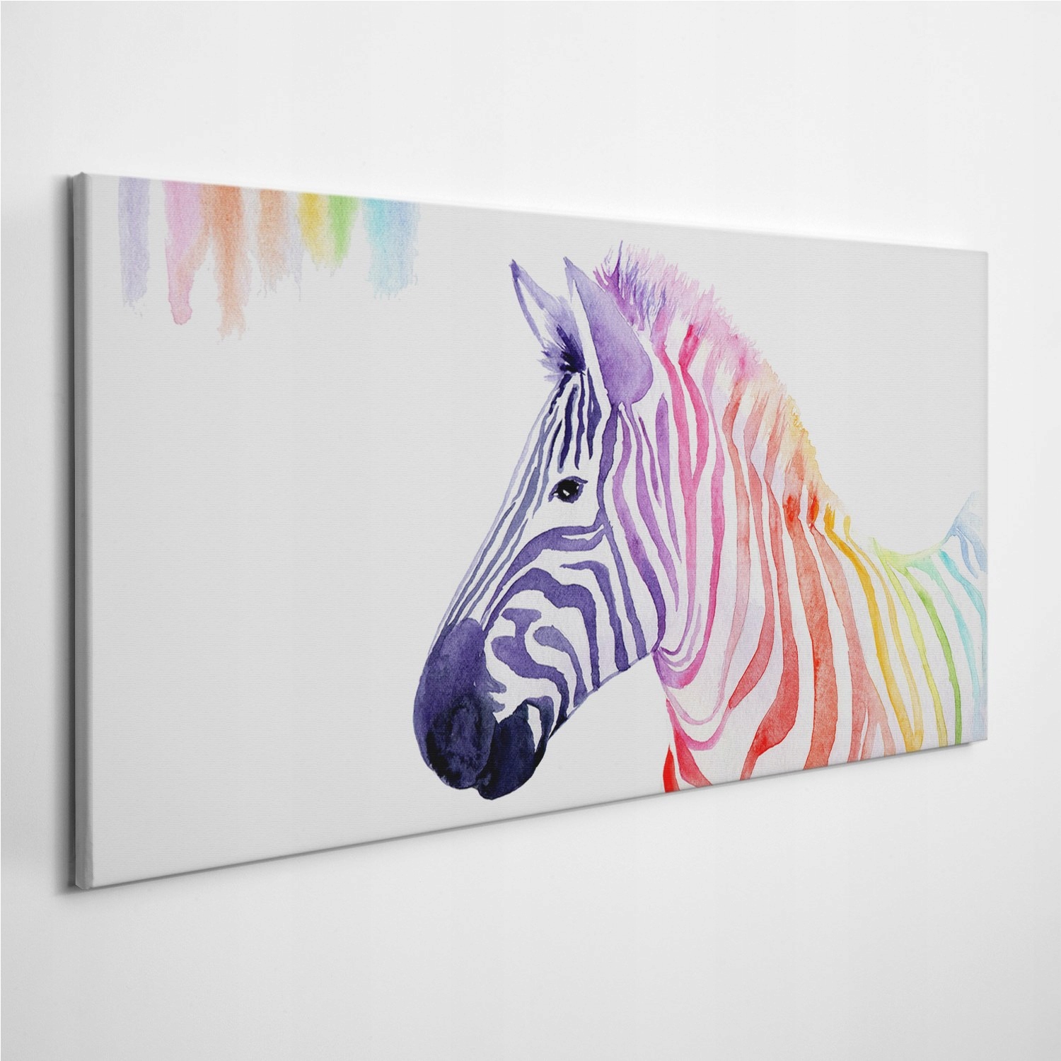 

Foto-obraz na płótnie Akwarele Tęcza Zebra 100x50