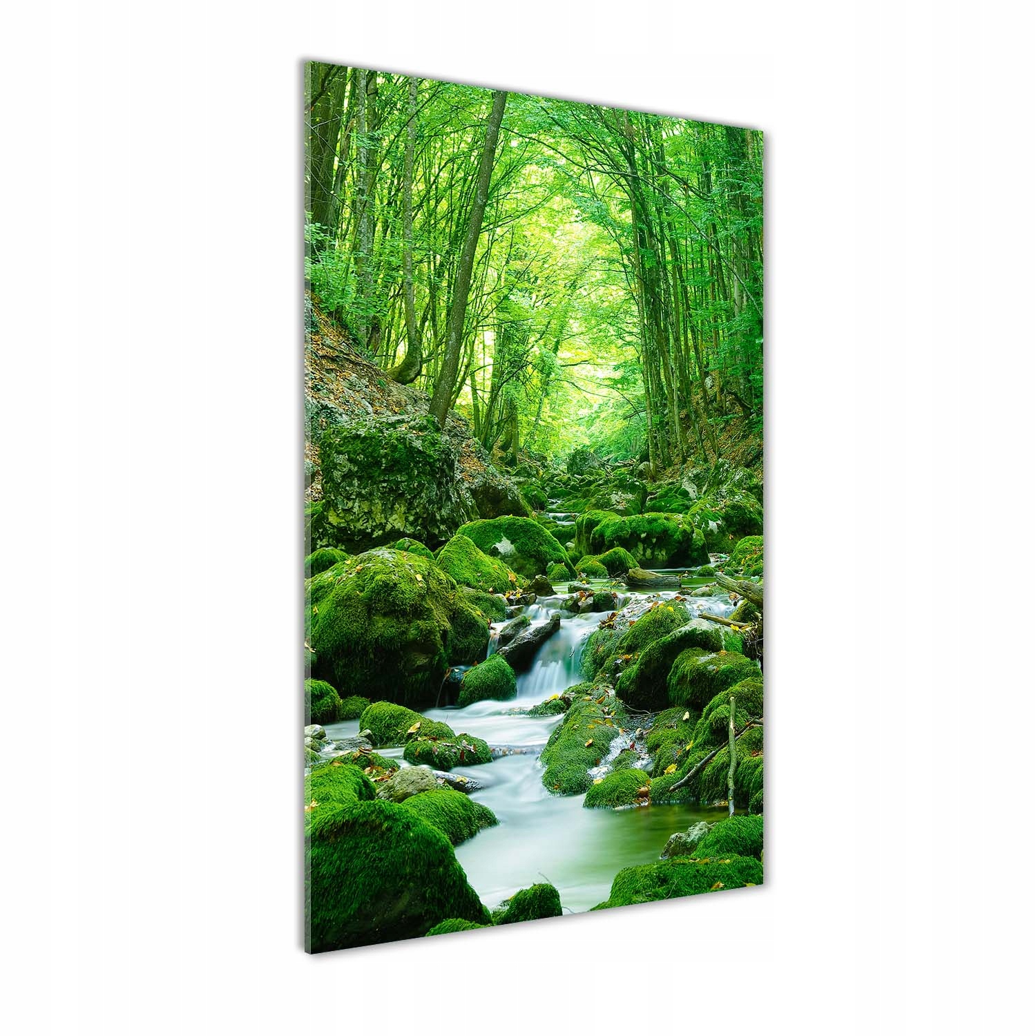

Foto obraz na szkle pionowy Potok w dżungli 60x120