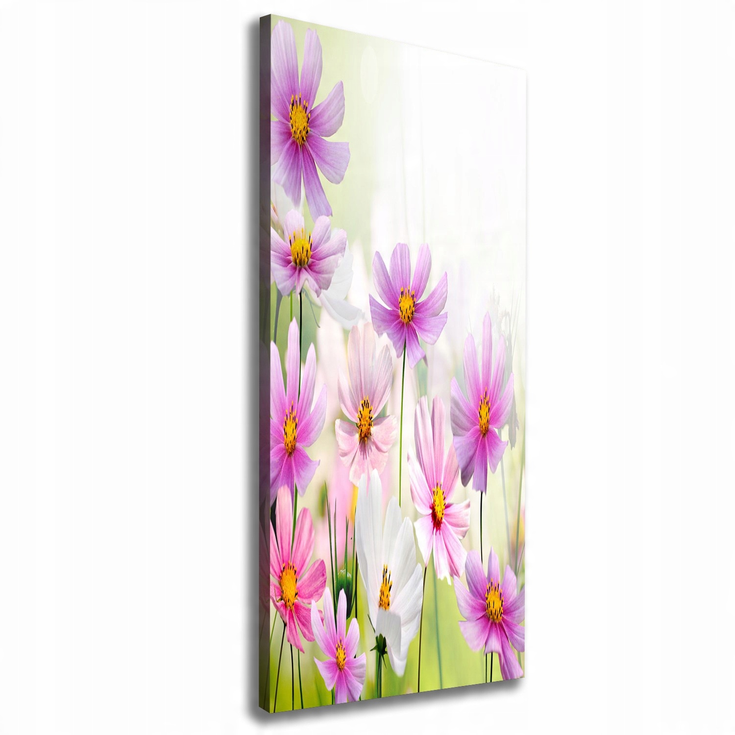

Foto obraz canvas do salonu Polne kwiaty 50x125