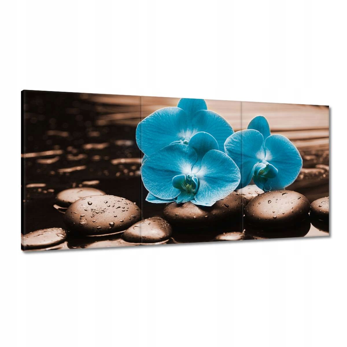 Obrazy 180x90 Tyrkysová orchidea