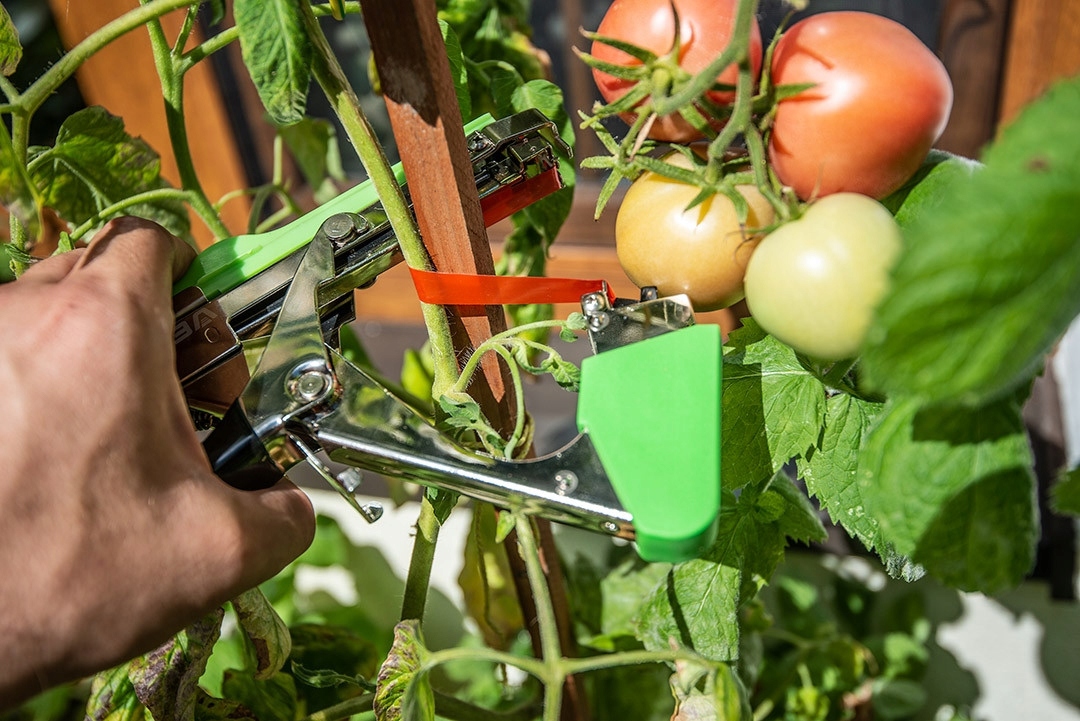 ZESTAW OGRODNICZY TAPENER URZĄDZENIE DO PODWIĄZYWANIA ROŚLIN 25M + ZSZYWKI EAN (GTIN) 5902062092557