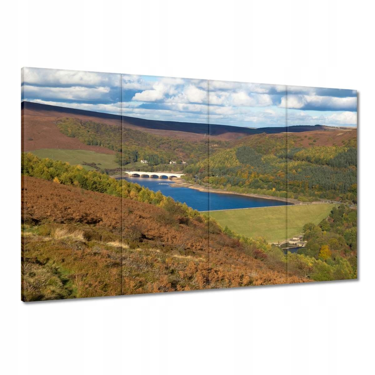 Obrazy 120x80 Pohled shora