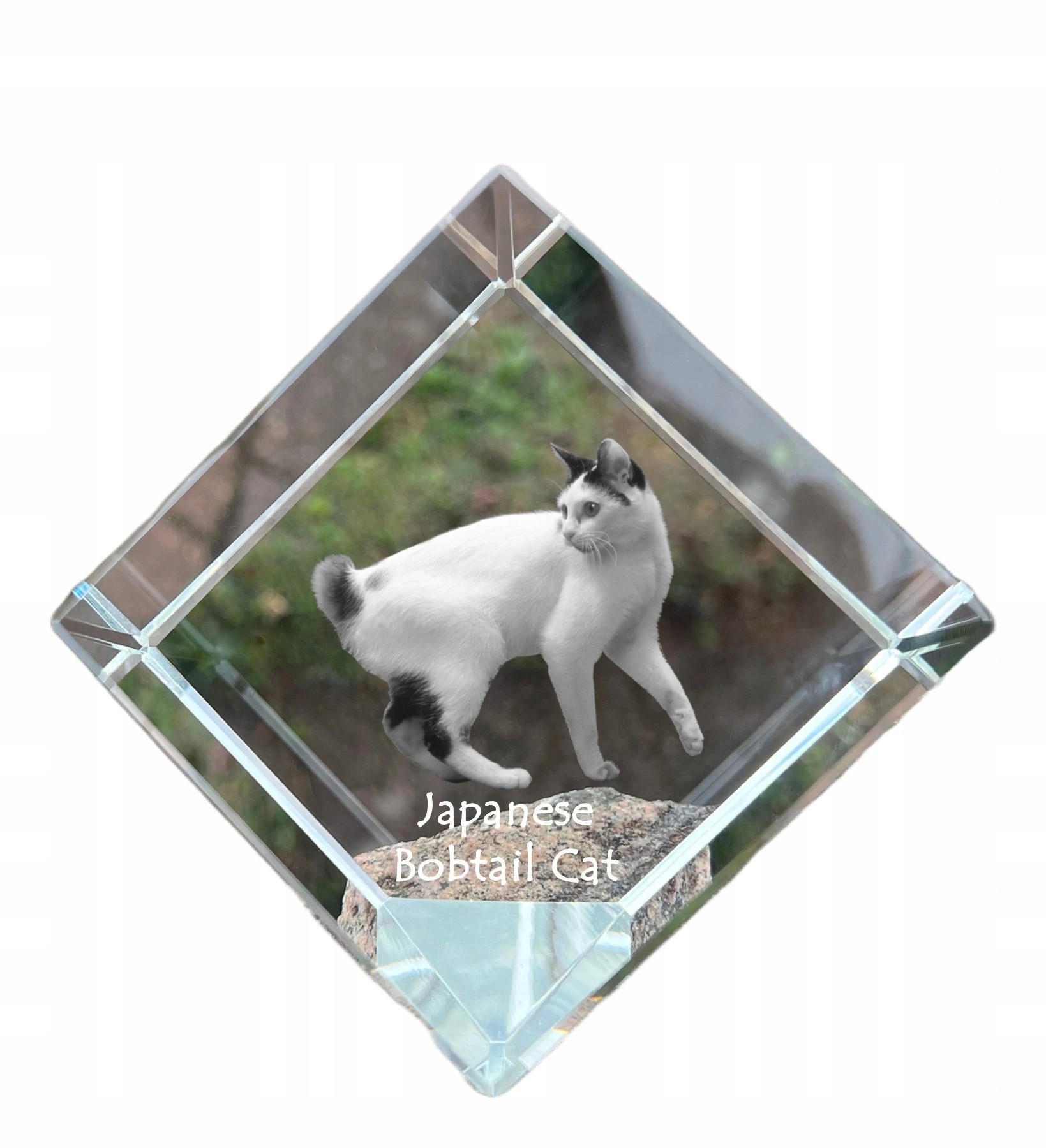 Japonský bobtail, krištáľová kocka s fotografiou mačky, ozdoba do pracovne