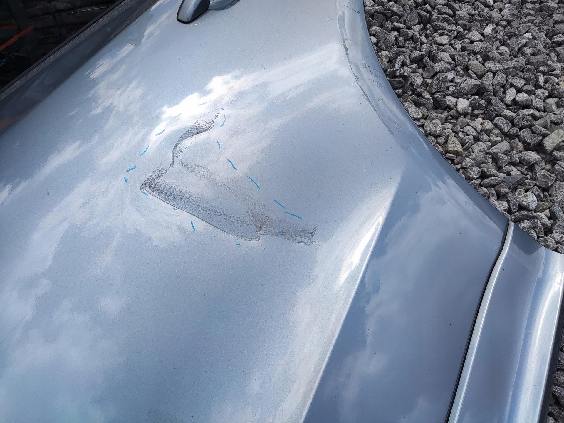 door left rear part rear. AUDI Q5 and 8R 2008-2016