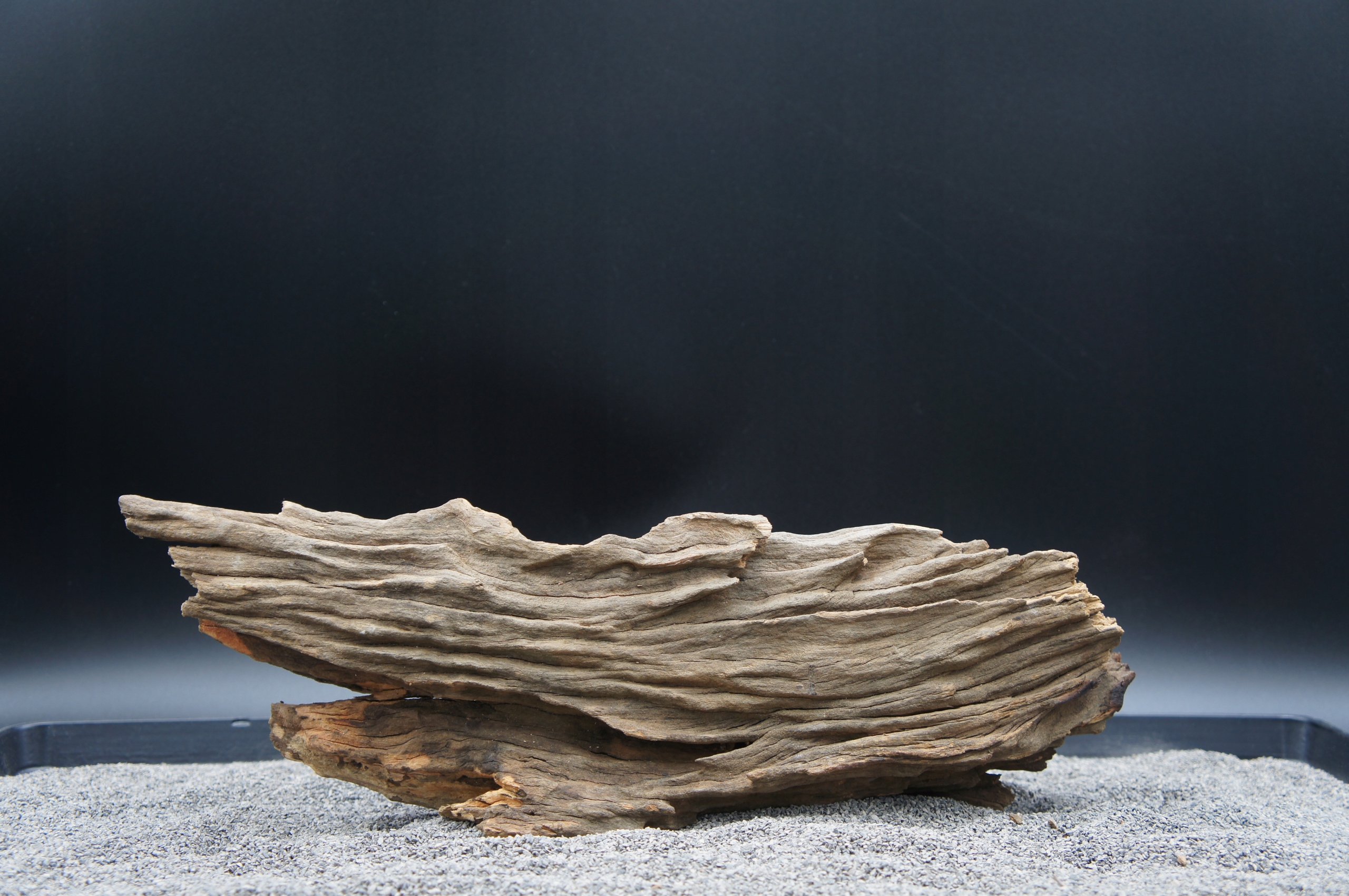 Levně Kořen pro terarijní akvárium jagged wood 38 Cm Ten, Který Je Na Obrázku (J43)