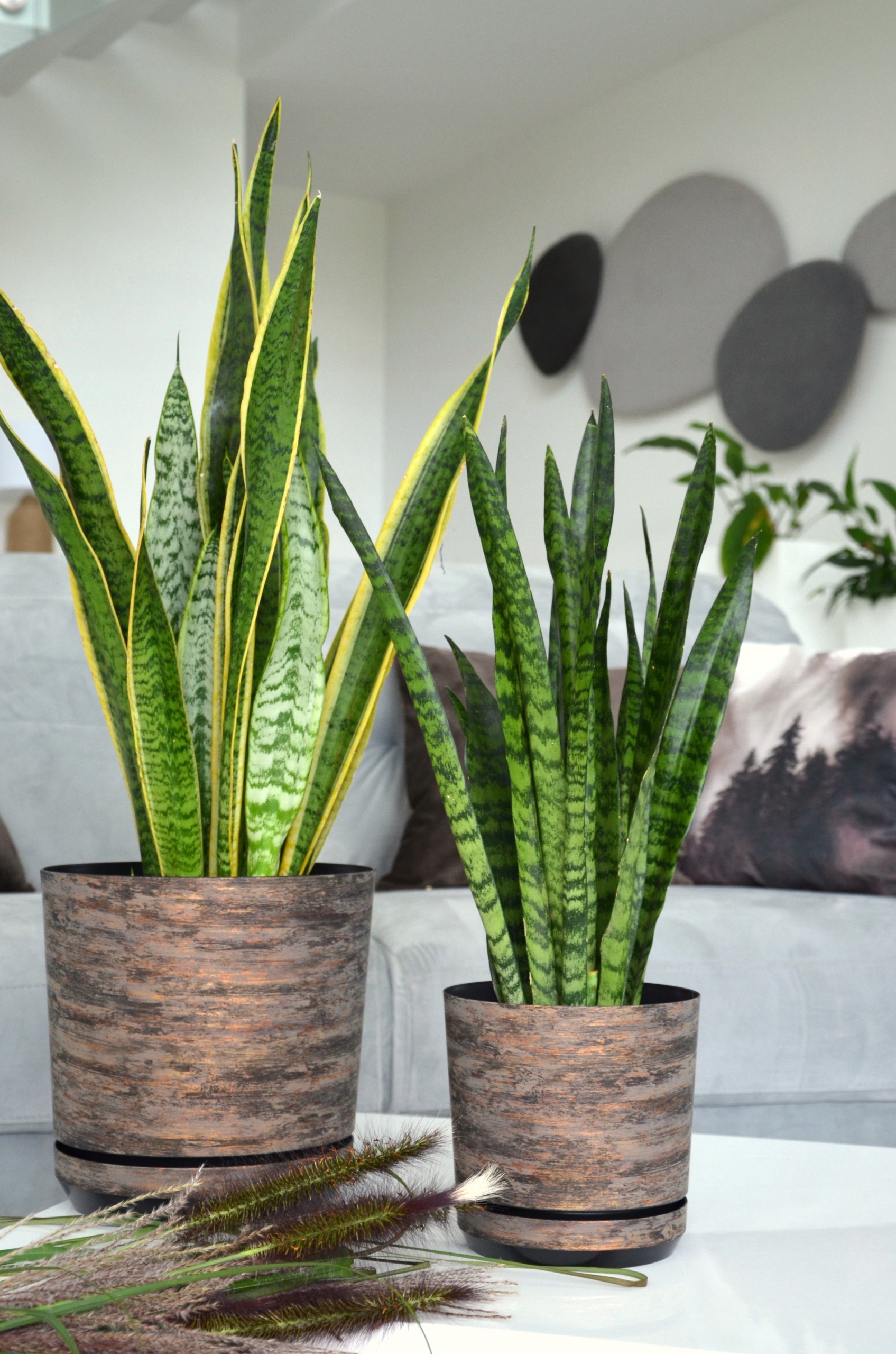 18 RDZAWA KORA Doniczka z podstawką barwy lasu