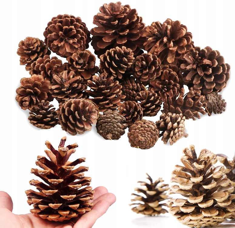 SZYSZKI NATURALNE SOSNOWE DEKORACYJNE STROIK SZUSZ