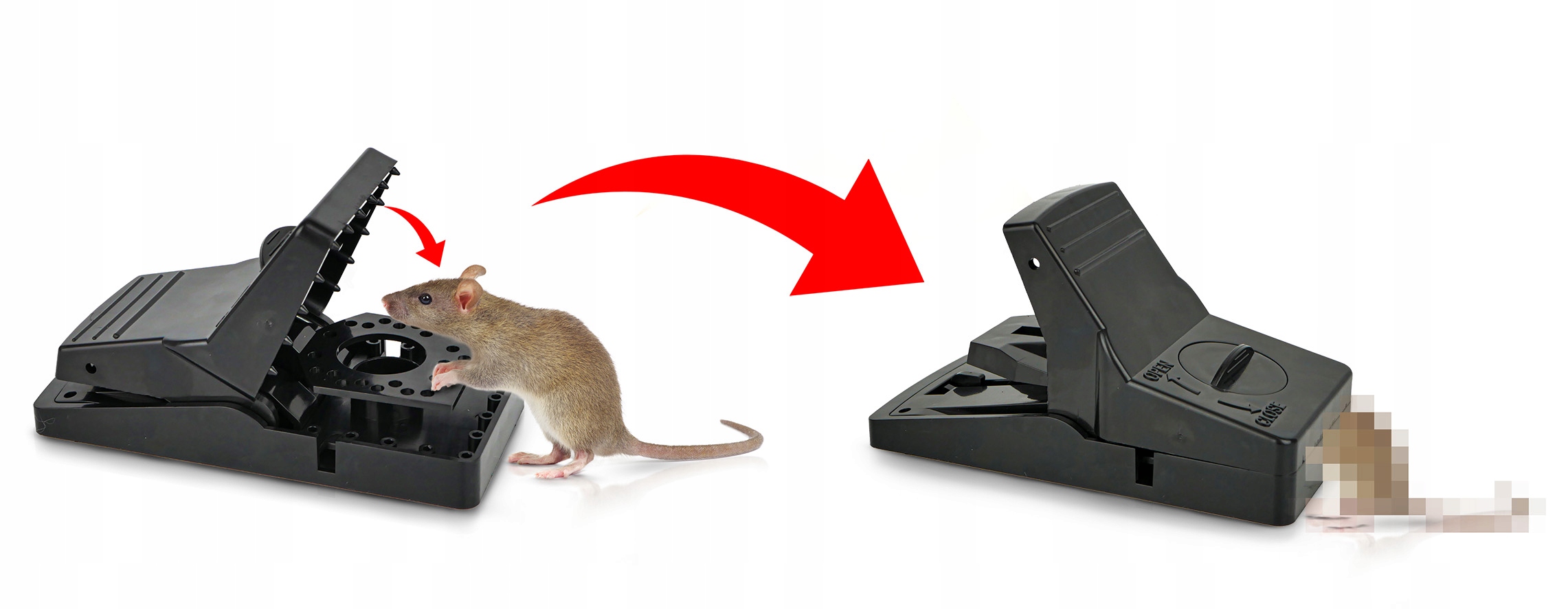 SZCZUROŁAPKA STRONG RAT CATCHER MOCNA PUŁAPKA PRZECIWKO SZCZUROM EAN (GTIN) 5905718015481