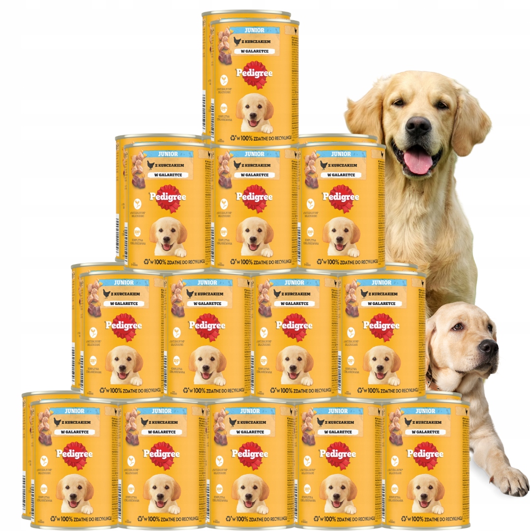Pedigree Junior mokra karma dla szczeniąt z kurczakiem w galaretce 24x400 g