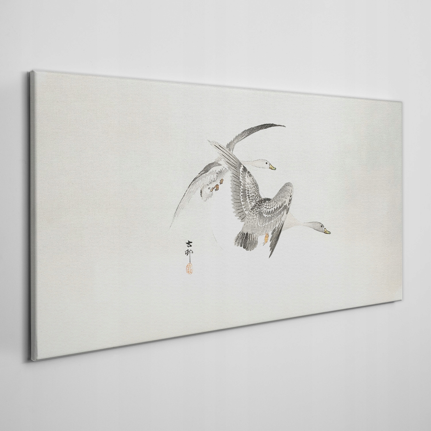 

Obraz na płótnie Zwierzęta ptaki gęsi niebo 120x60