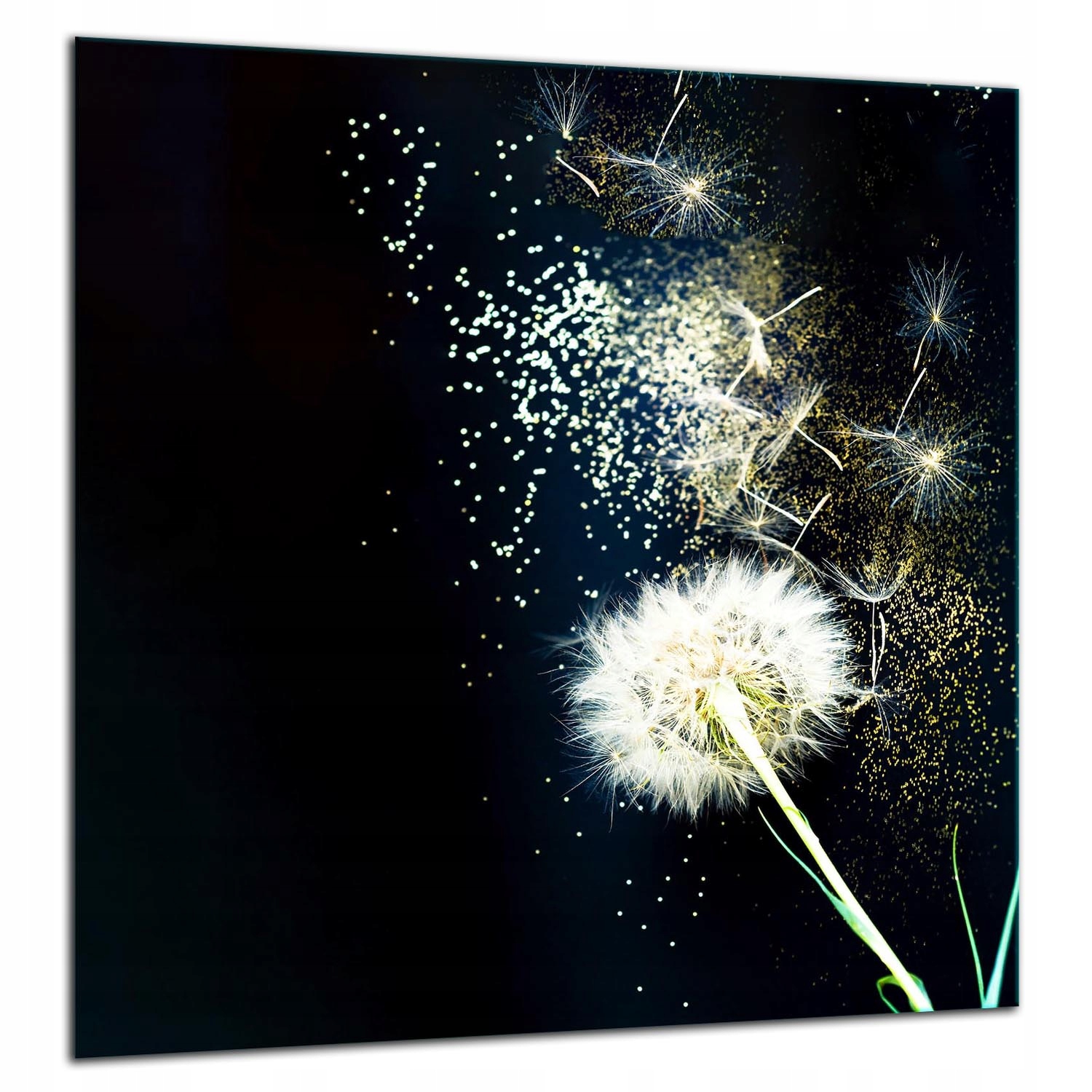 7v1 Skleněná Ochranná Deska Panel Lepidlo 60x65 Květina