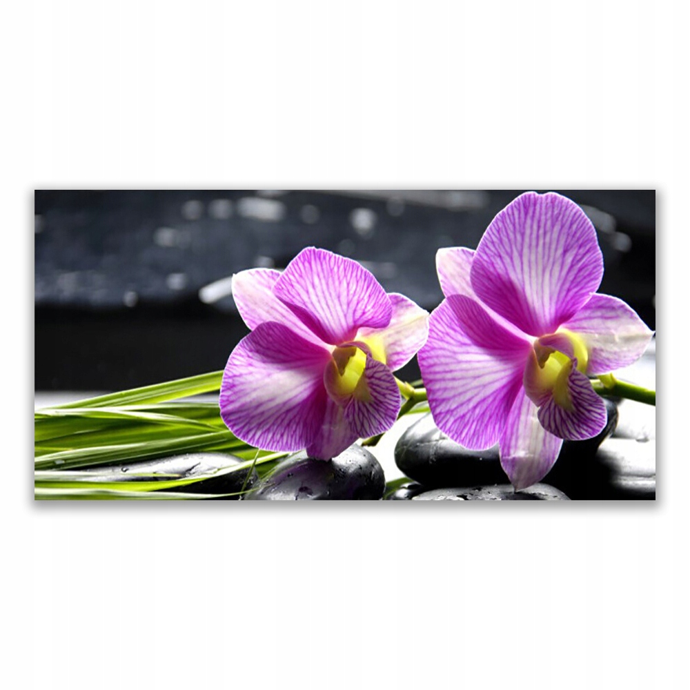 

Fotoobraz z nadrukiem 120x60 Kwiaty Roślina Natura