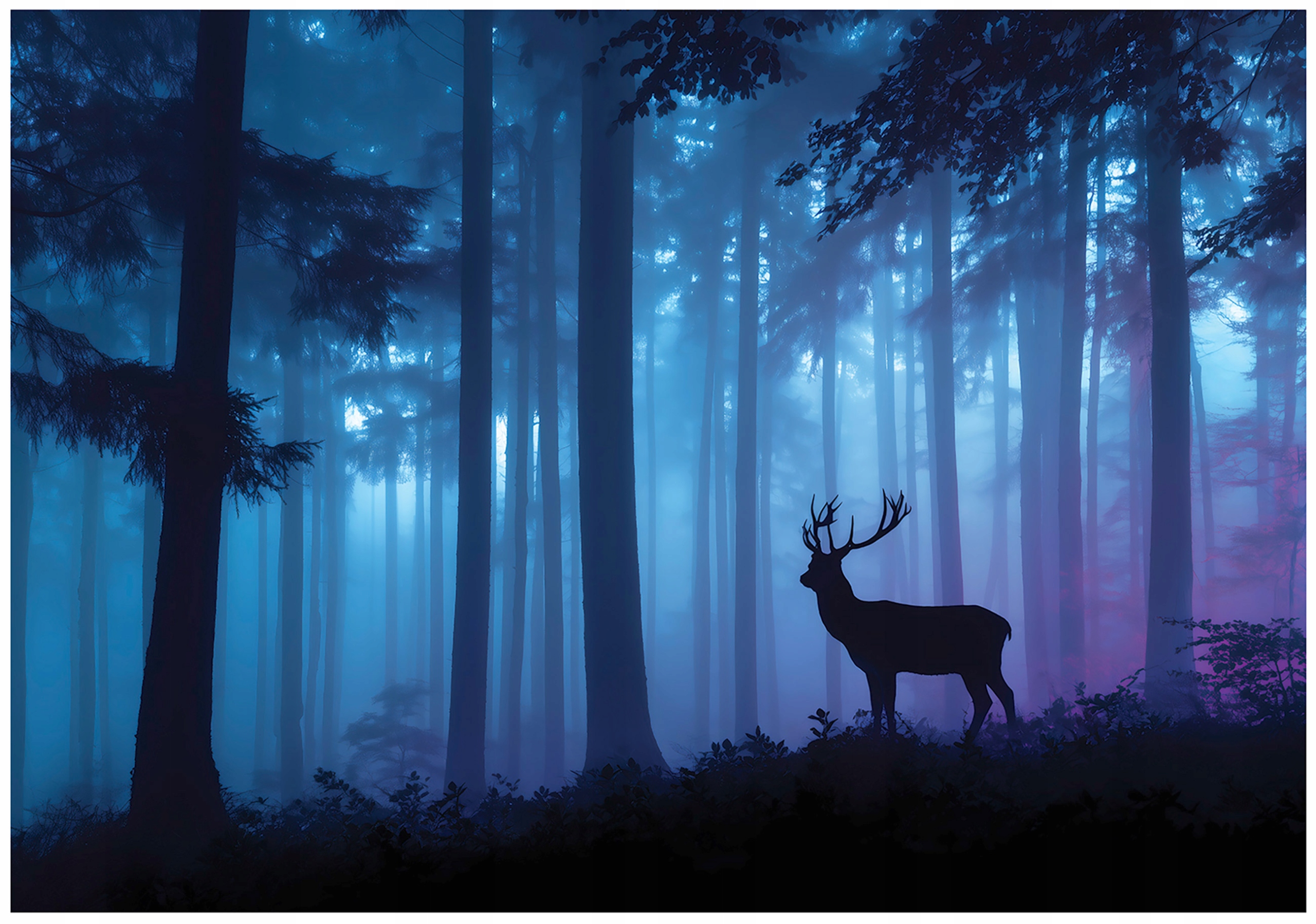 Fototapeta Les Mlha Jelen Příroda Zvíře Dřevo Noc Modrá 200x140