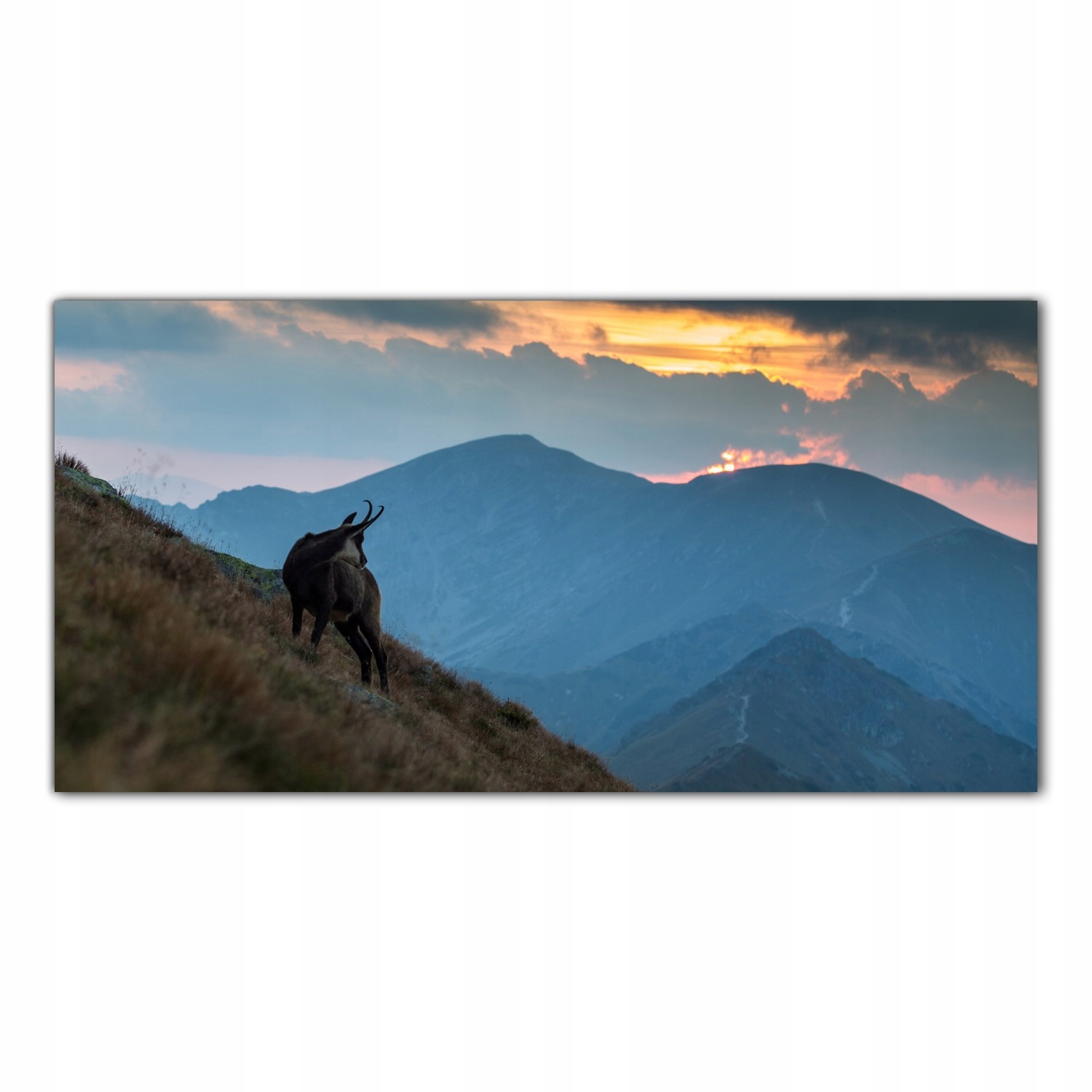 Koza Zvíře Hory 100x50 Skleněný panel do kuchyně