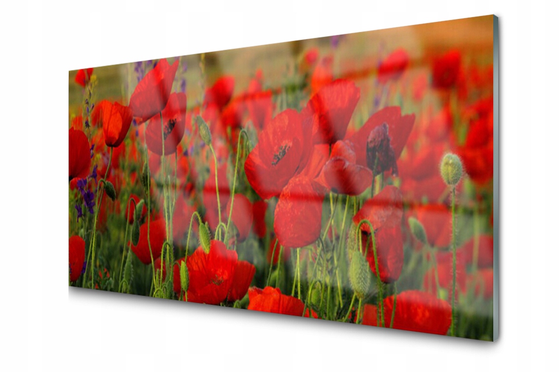 

Panel szklany dekor Maki Roślina 140x70 + Klej