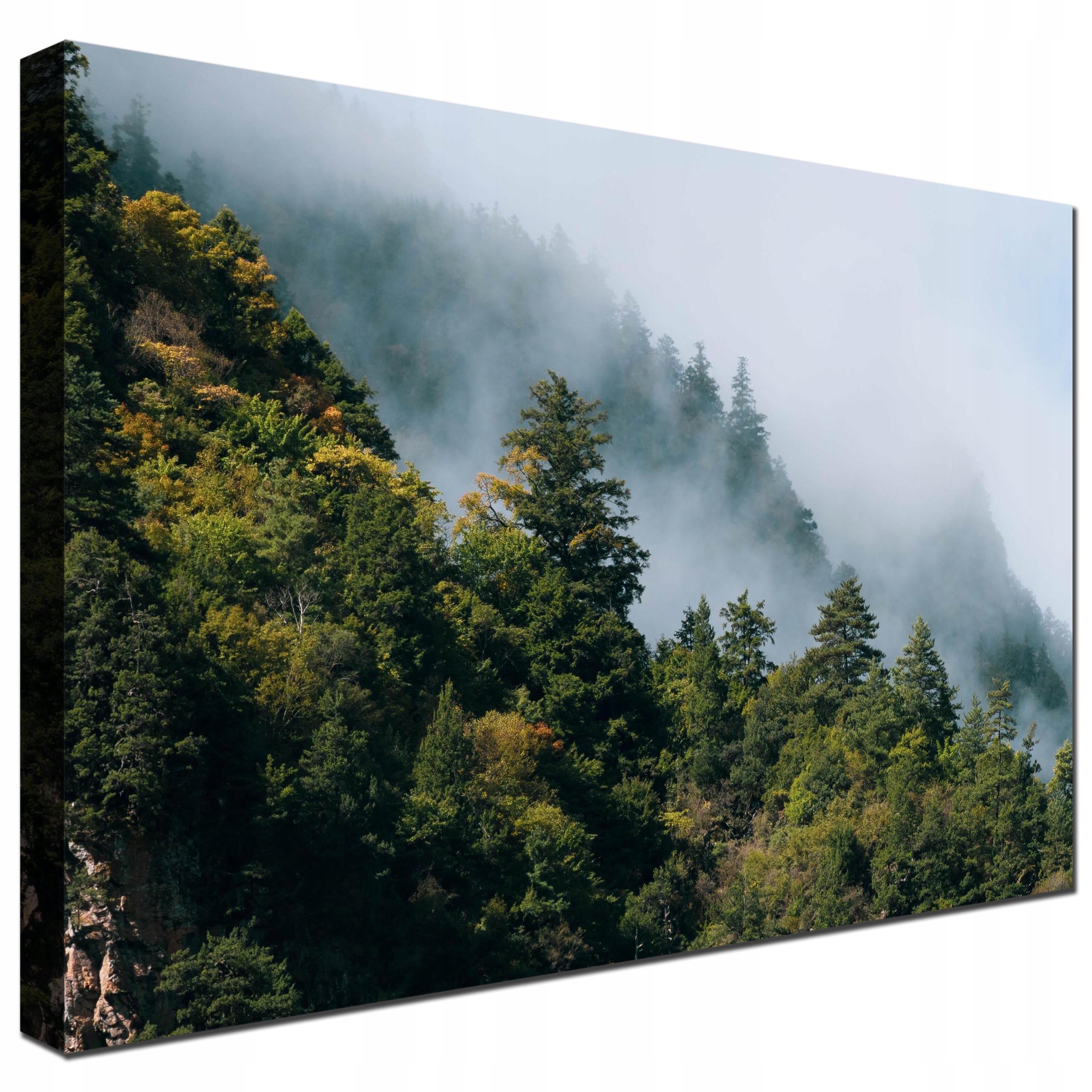 

Obraz na płótnie widok z góry las we mgle 120x80