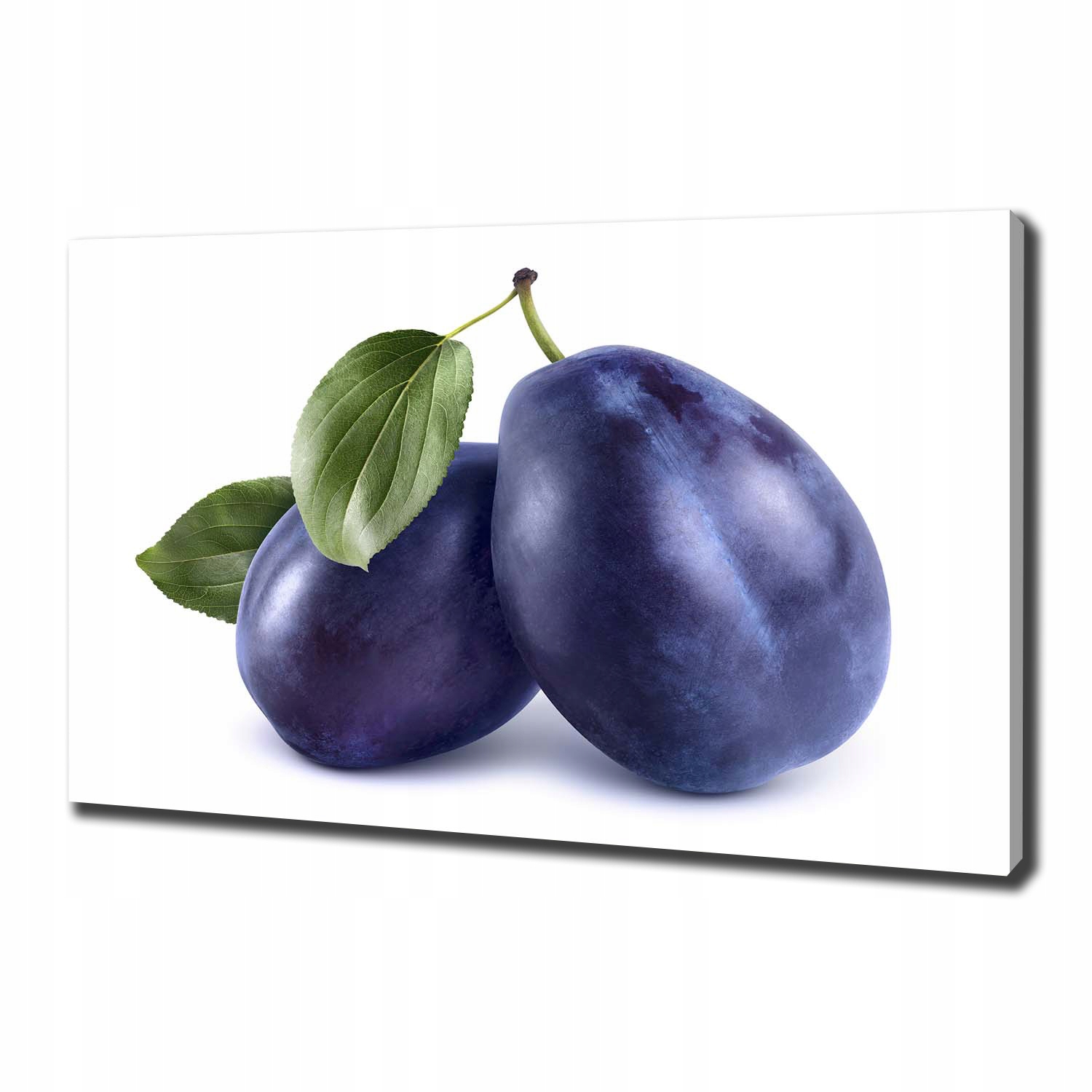 

Duży foto obraz na ścianę canvas Śliwki 100x70 cm