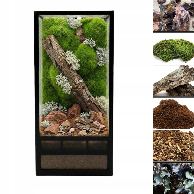 NanoTerrarium Starter Kit 10x10x20cm Zestaw hodowlany dla pająków i owadów
