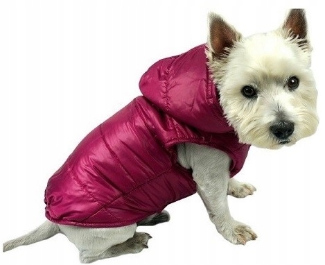 

Colari -bezrękawnik kurtka ubranko dla psa B01-S