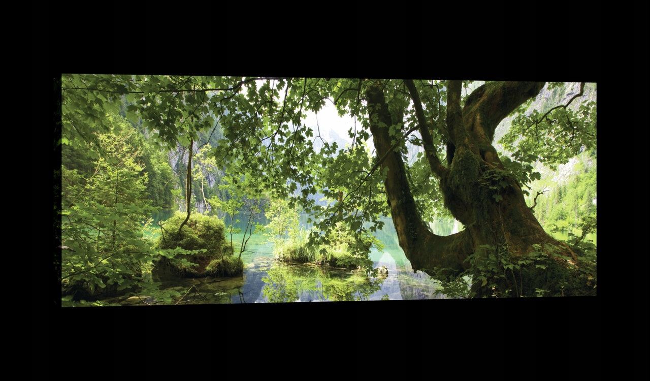 Obraz 145x45 Příroda les jezero odraz zeleň klid harmonie