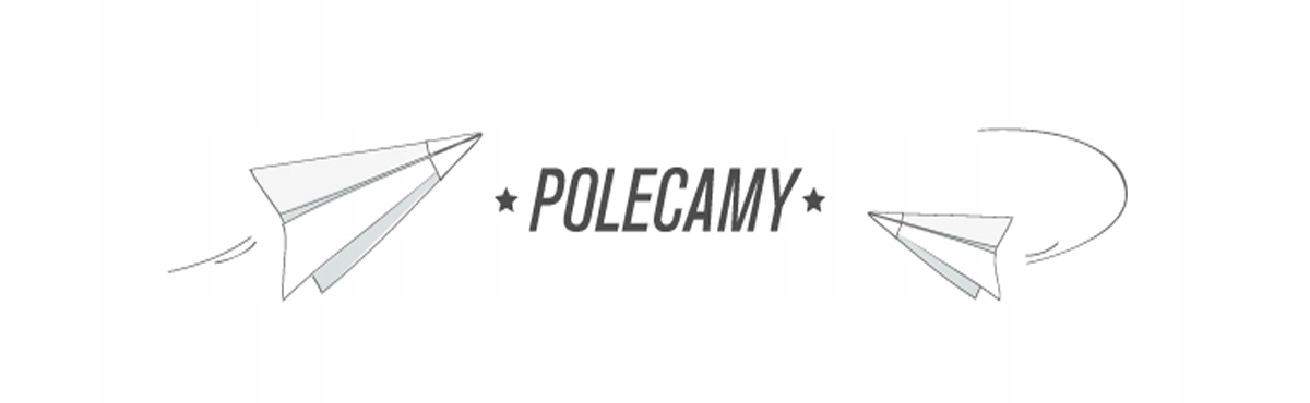 NASZYJNIK MINI DYKTAFON MAŁY PODSŁUCH SZPIEGOWSKI Funkcje funkcja dysku wymiennego