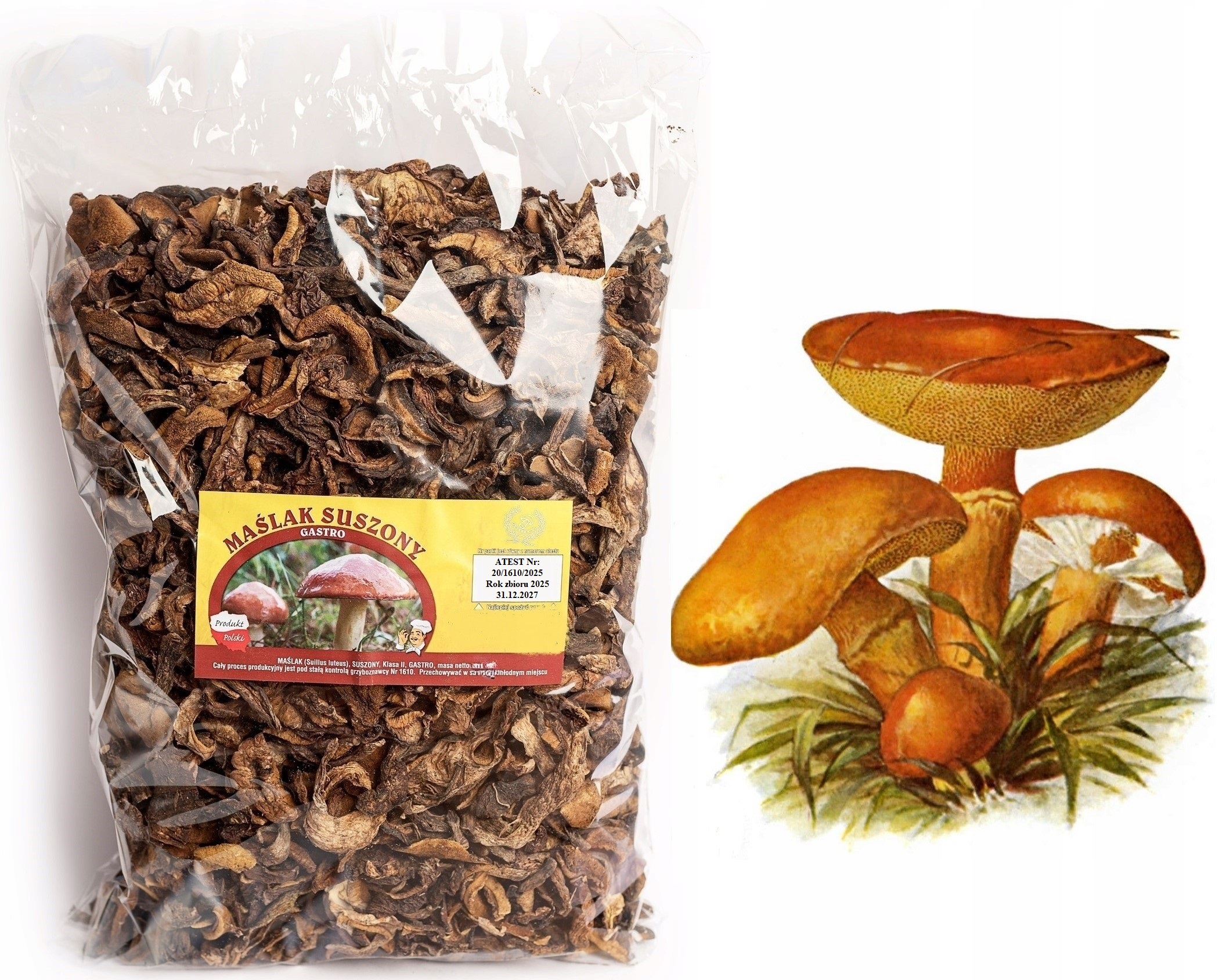 Maślak Krájený 500g Nová Sbírka 2025 Polský Atest sušené lesní houby