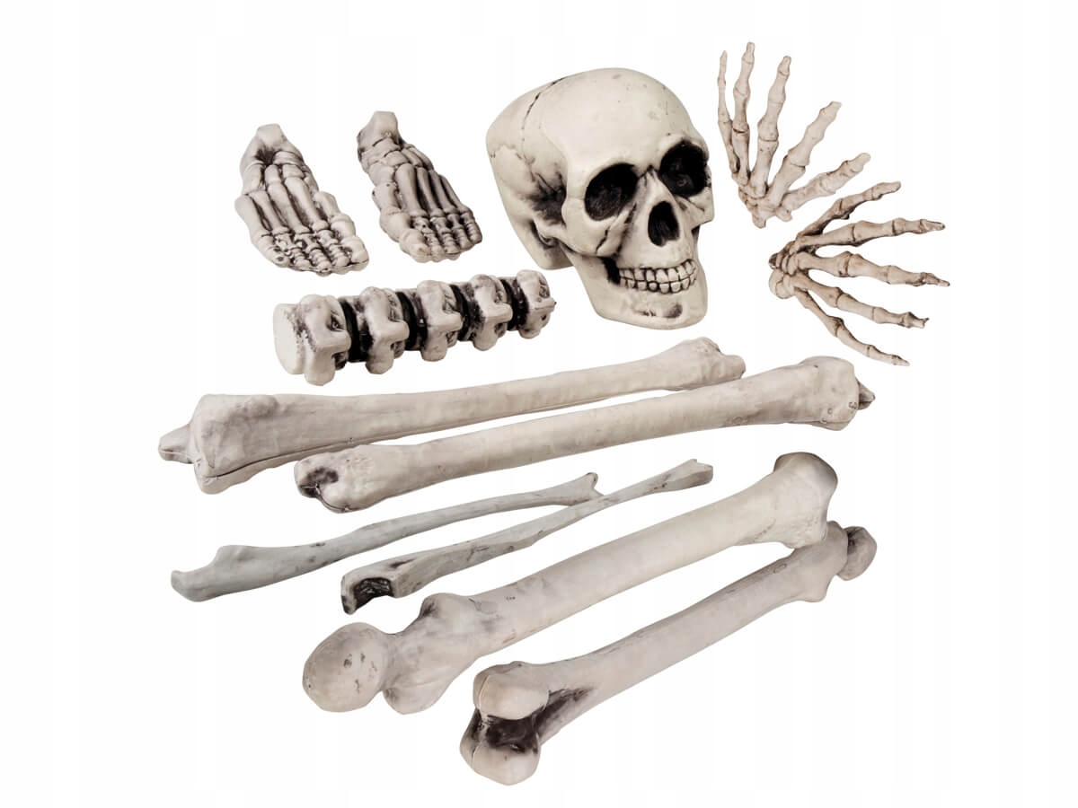

Zestaw kości i czaszka w siatce na halloween 12szt