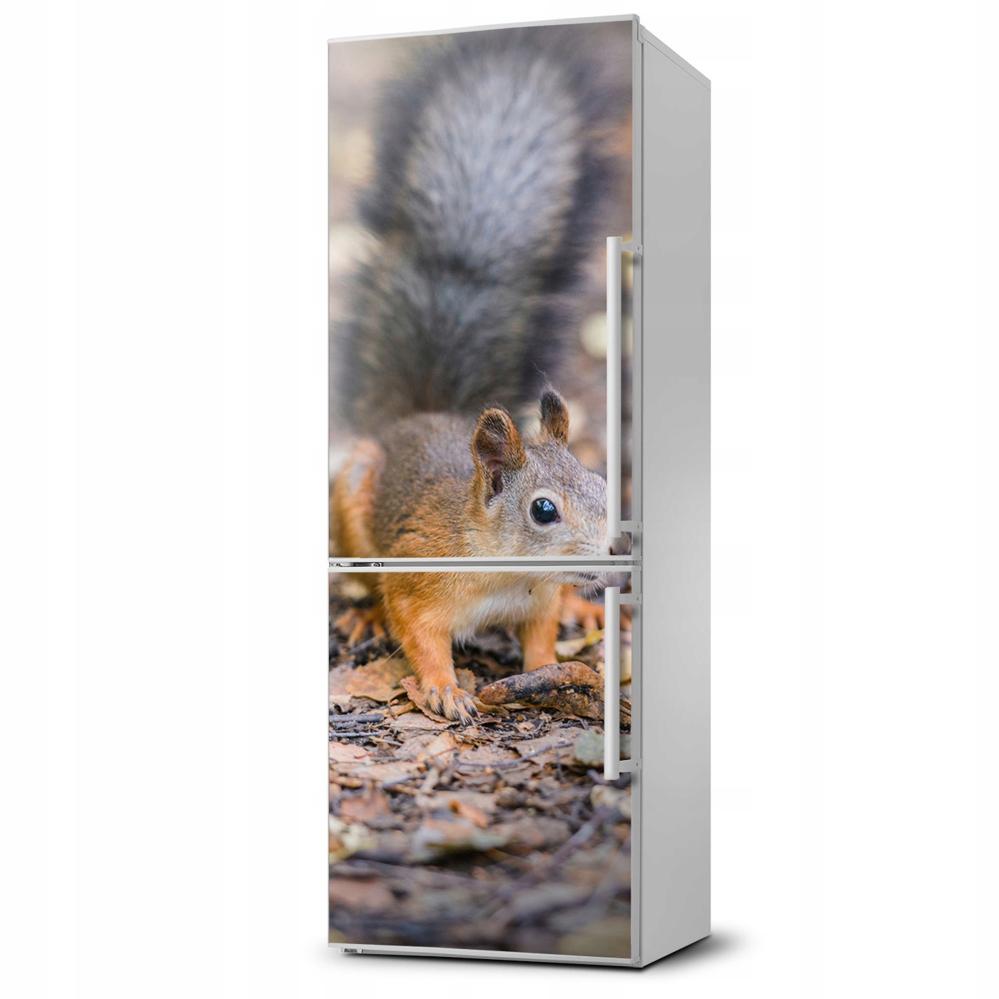 

Mata magnetyczna na lodówkę Wiewiórka w lesie XL